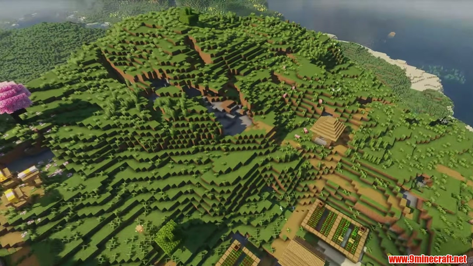 Perfect flat seed 3 view 1