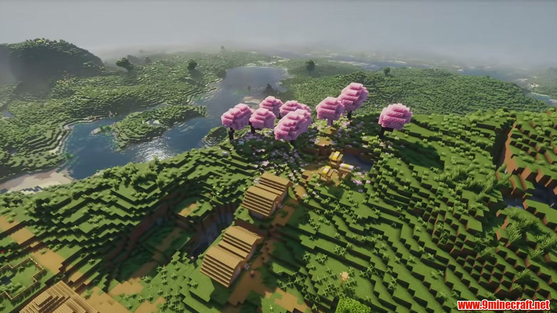 Perfect flat seed 3 view 2