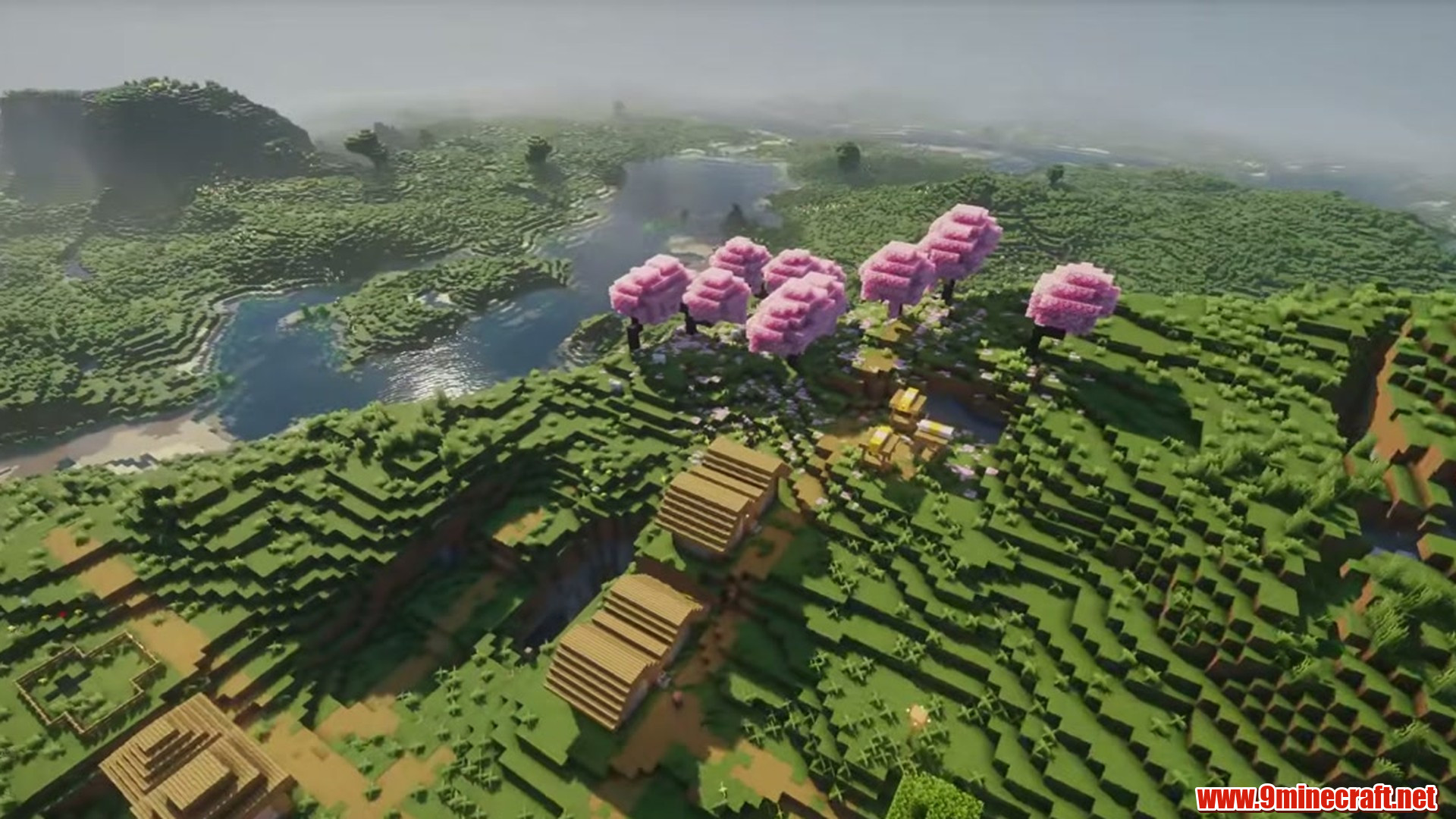 Perfect flat seed 3 view 3