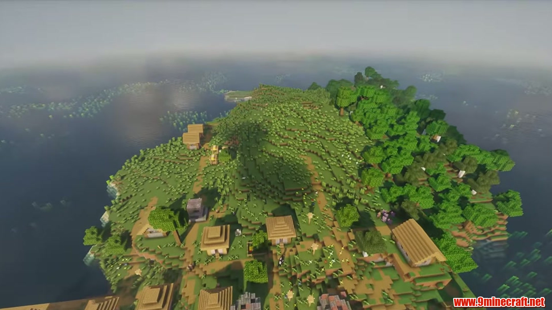 Perfect flat seed 4 view 3