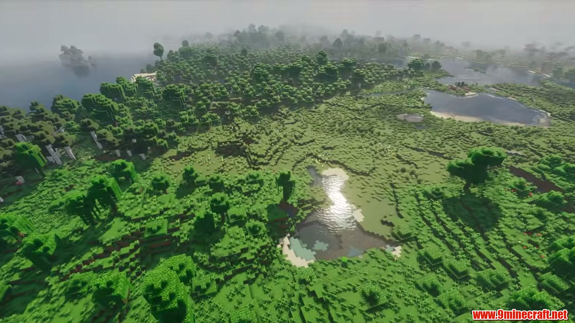 Perfect flat seed 5 view 1