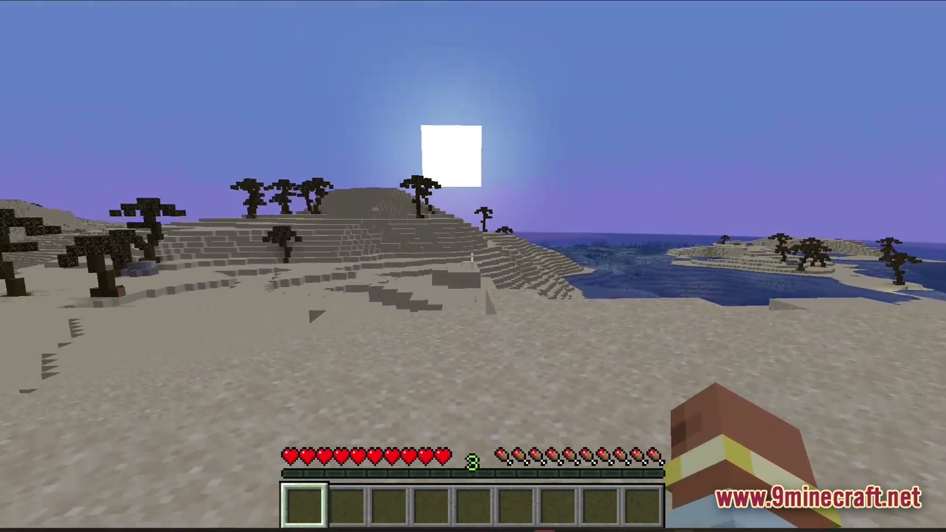 A first-person perspective of a sandy beach biome with sparse trees under a bright square sun