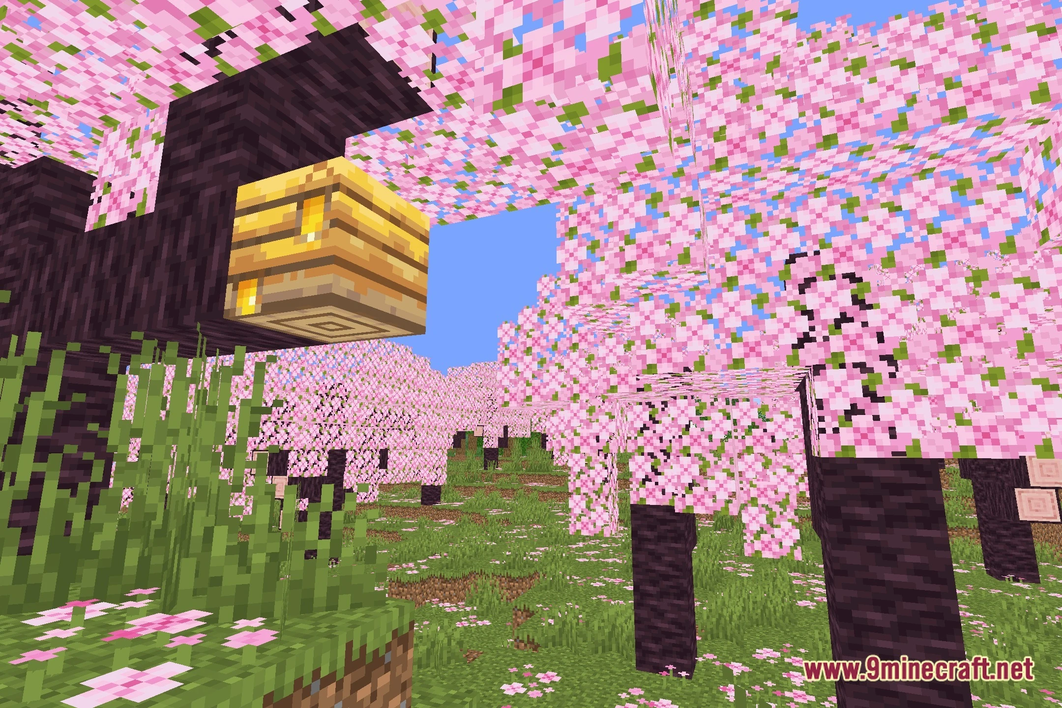 Alphalook shaders screenshot 1