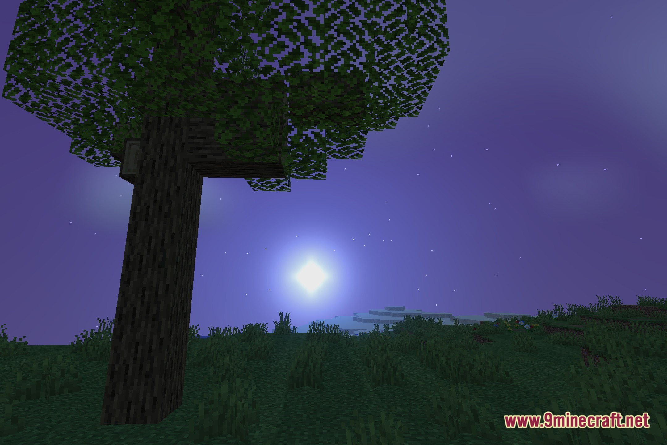 Amiarchiveshader (26.2, 1.20.1) – Stylized Cartoon Visuals For Budget Pcs 5 Amiarchiveshader screenshot 4