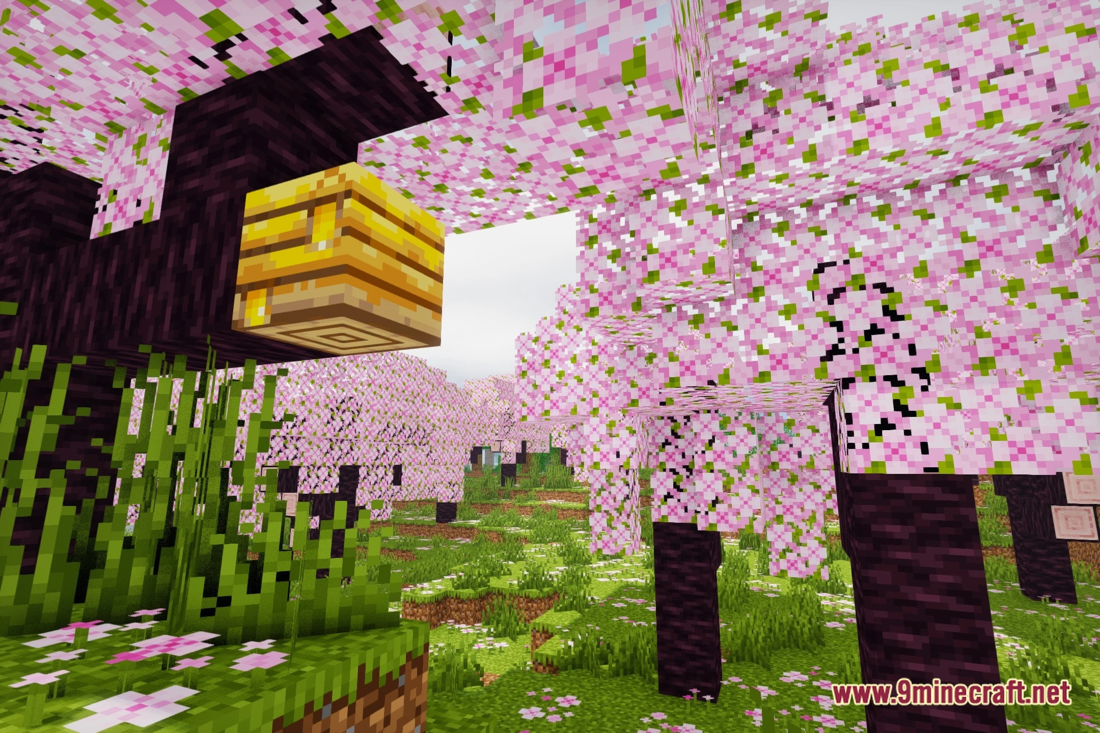 Astral Cinema Shaders (26.2, 1.20.1) – Cinematic Lighting And Soft Shadows 2 Astral cinema shaders screenshot 1