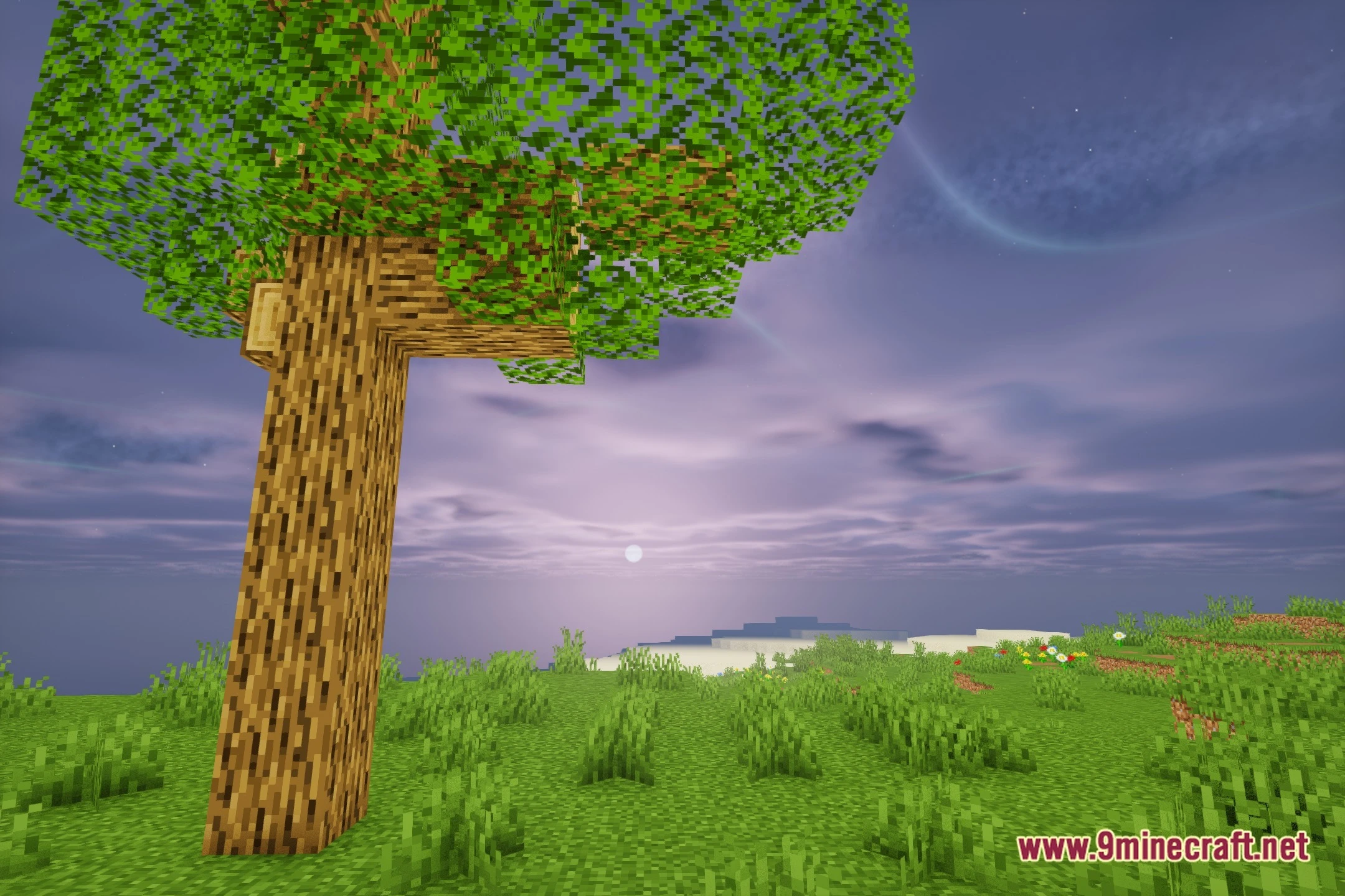 Astral Cinema Shaders (26.2, 1.20.1) – Cinematic Lighting And Soft Shadows 5 Astral cinema shaders screenshot 4