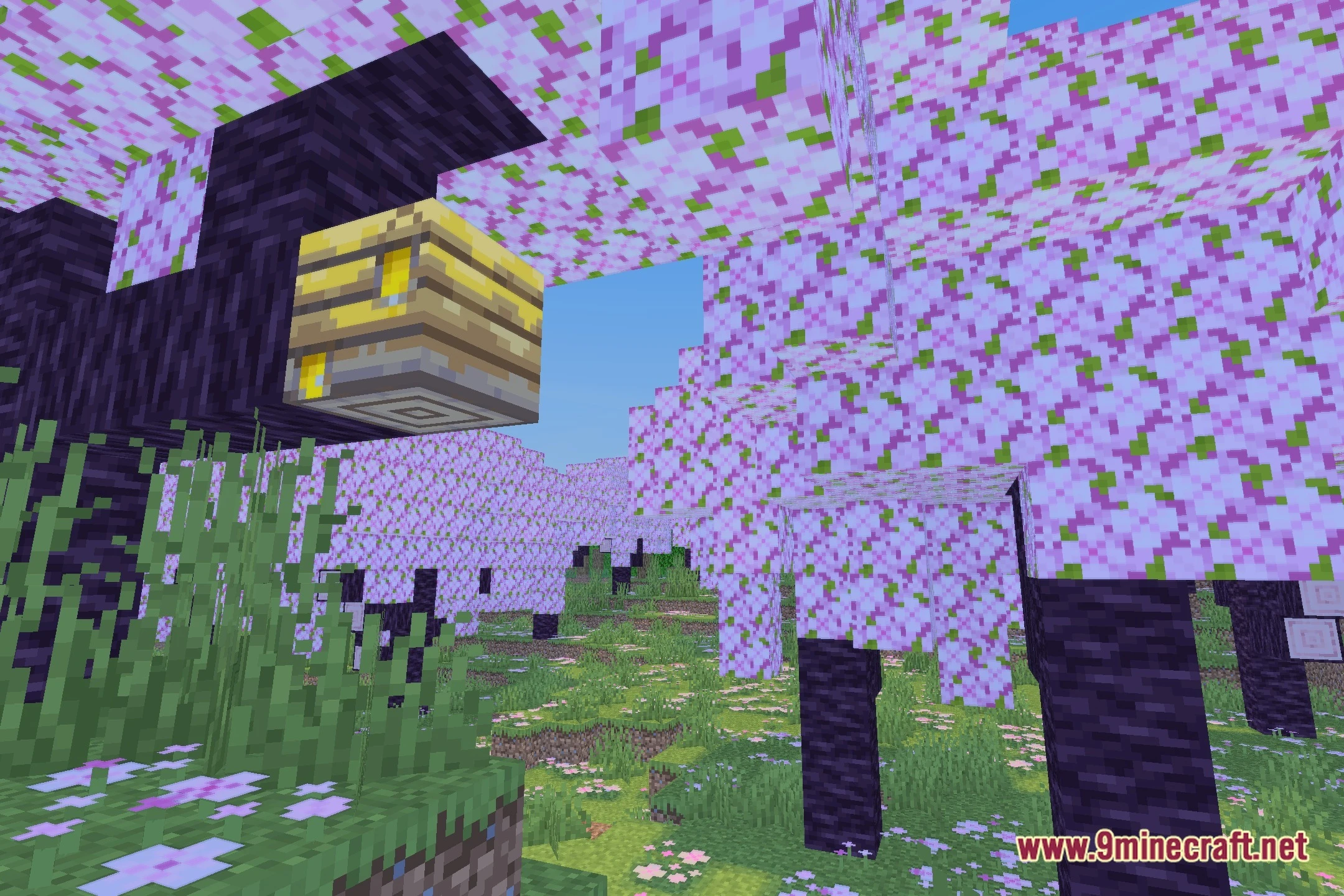 Bluei’s Better Visuals Windows Shaders (26.2, 1.20.1) 2 Bluei's better visuals windows shaders screenshot 1