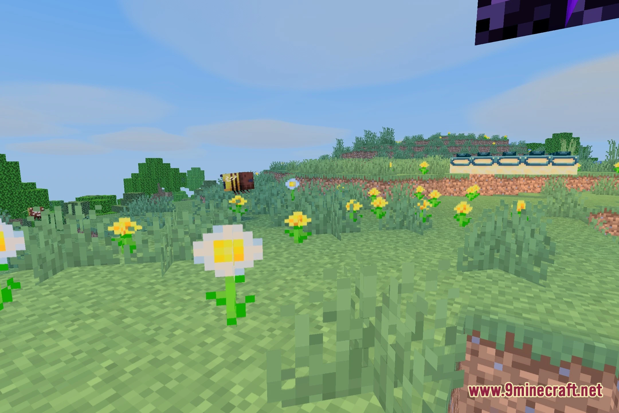 Bluei’s Better Visuals Windows Shaders (26.2, 1.20.1) 6 Bluei's better visuals windows shaders screenshot 5