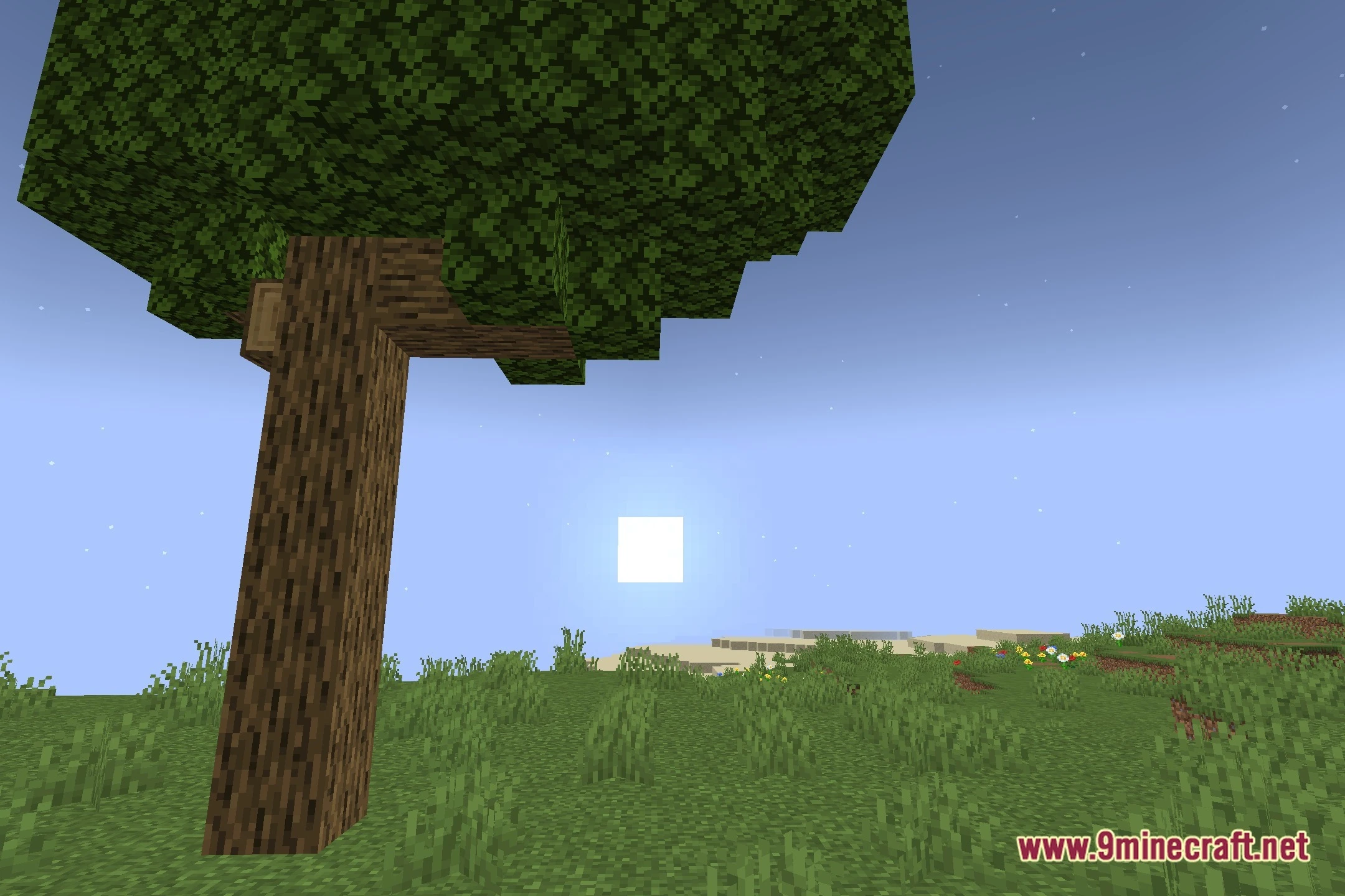 Celestial Order Fix Shaders (26.2, 1.20.1) – Fix Solar Eclipse Sky Rendering 5 Celestial order fix shaders screenshot 4