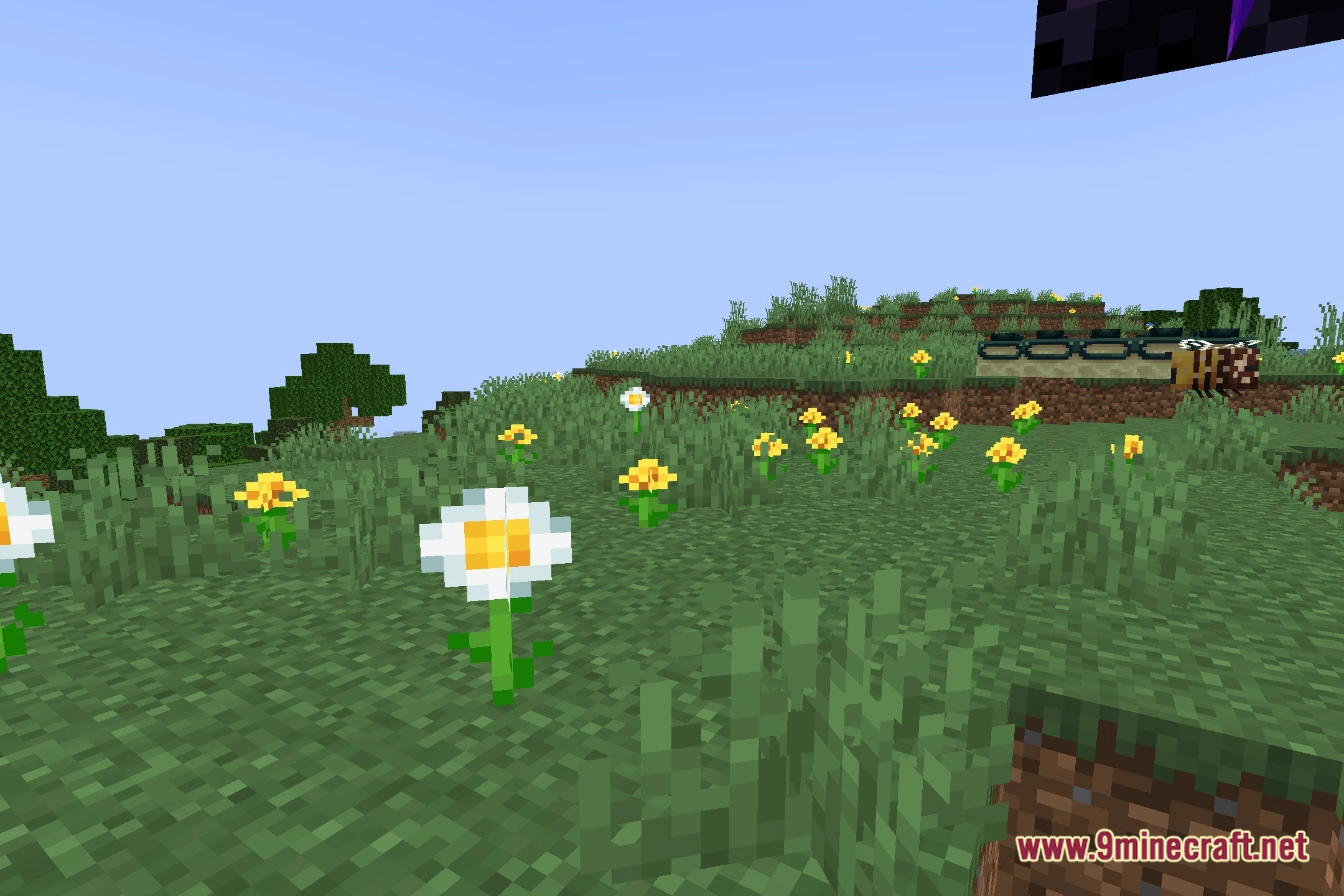 Celestial Order Fix Shaders (26.2, 1.20.1) – Fix Solar Eclipse Sky Rendering 6 Celestial order fix shaders screenshot 5