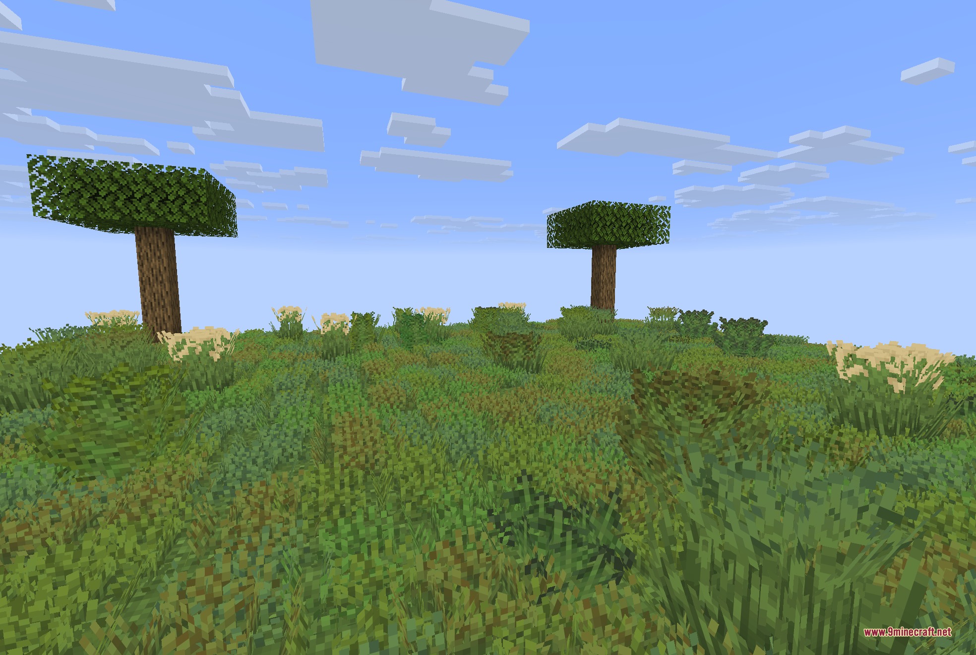 Colorful Grasses 9Minecraft Resource Pack (26.2) – Lush Foliage Across Wild Meadows 2 A minecraft landscape with dense green grass and two trees under a blue sky