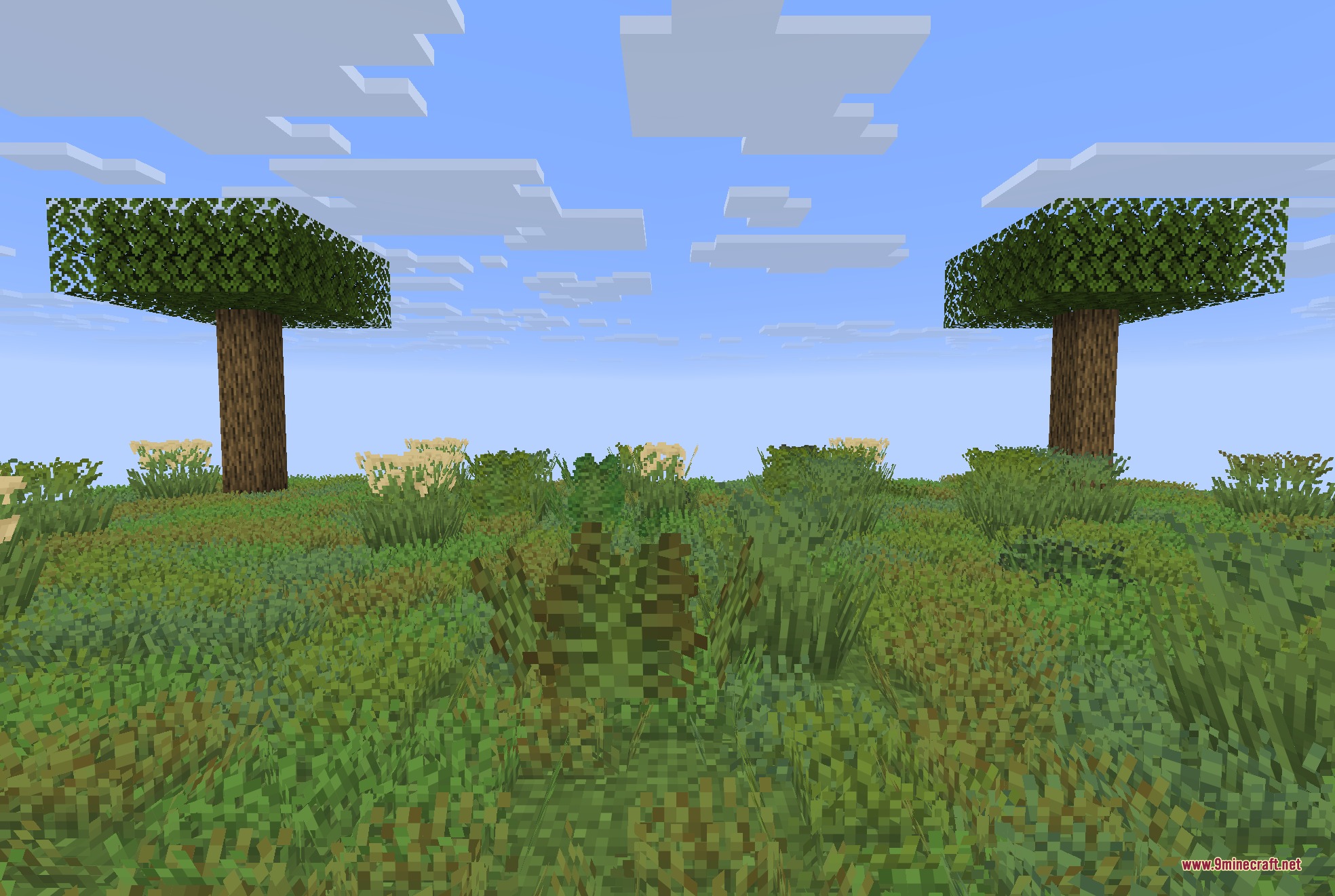 Colorful Grasses 9Minecraft Resource Pack (26.2) – Lush Foliage Across Wild Meadows 3 Detailed view of varied grass models and textures in a minecraft world