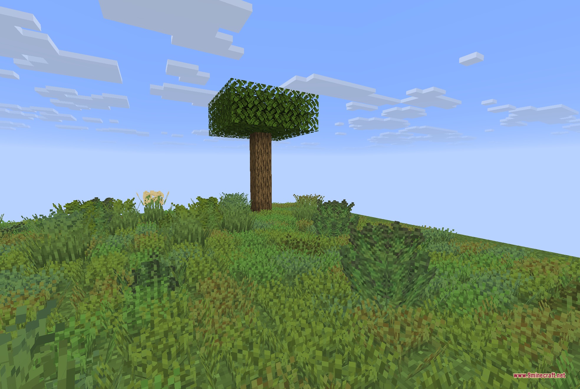 Colorful Grasses 9Minecraft Resource Pack (26.2) – Lush Foliage Across Wild Meadows 4 A lone tree stands on a hill covered in lush and varied grass