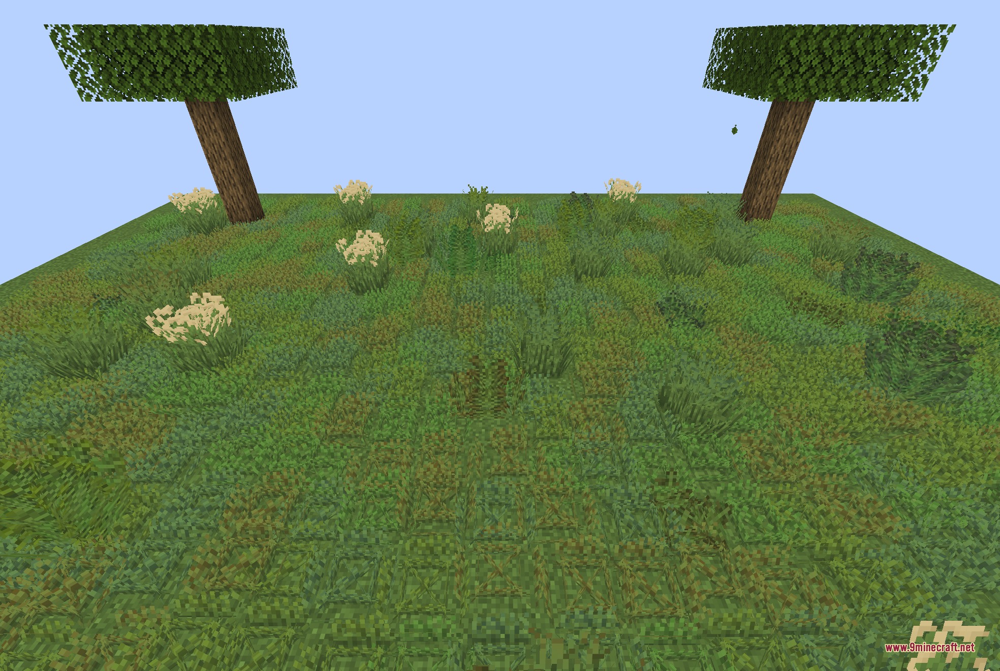 Colorful Grasses 9Minecraft Resource Pack (26.2) – Lush Foliage Across Wild Meadows 5 Two trees overlook a field featuring diverse grass models and small plants