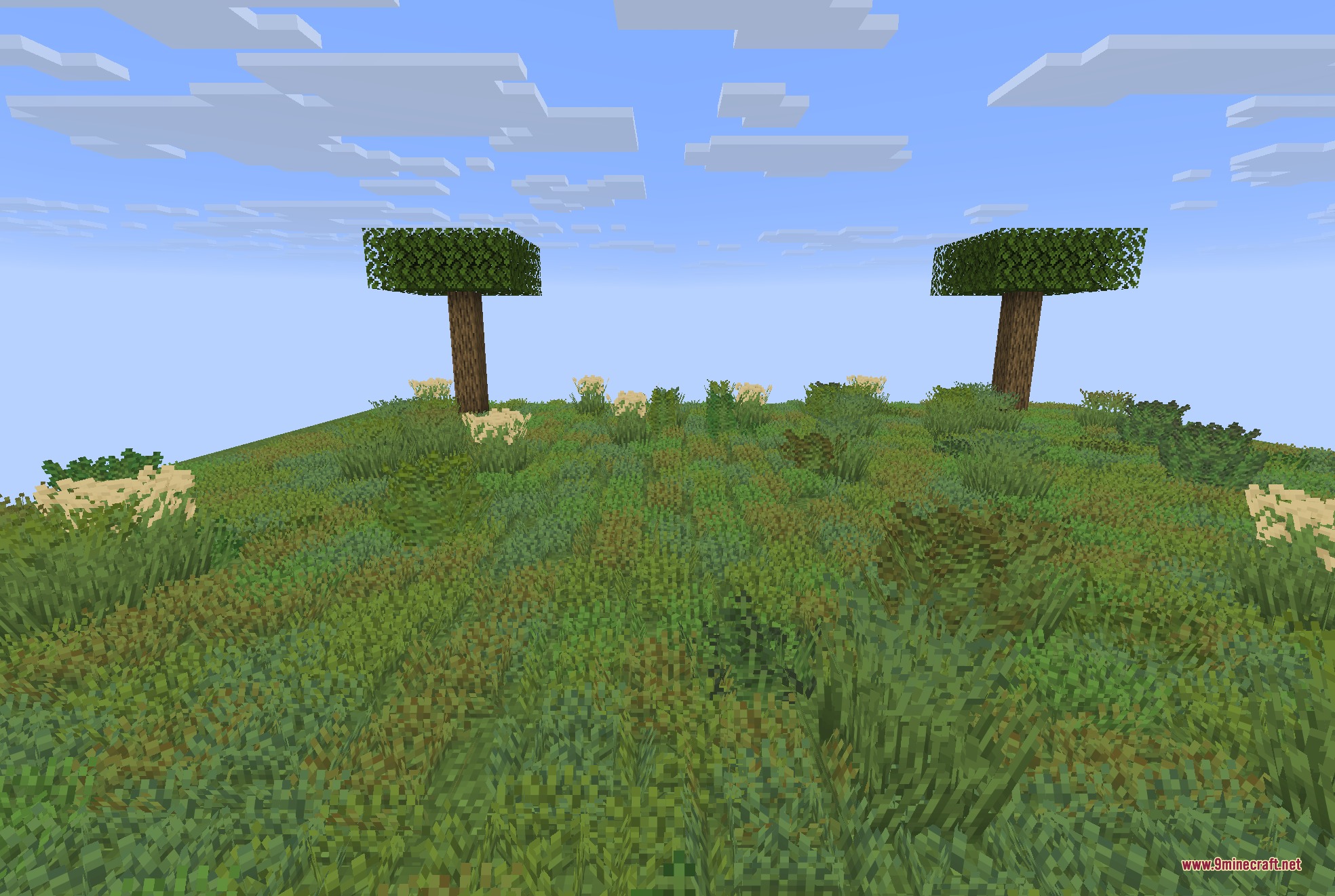 Colorful Grasses 9Minecraft Resource Pack (26.2) – Lush Foliage Across Wild Meadows 6 A vibrant field of grass with multiple model variants and two trees