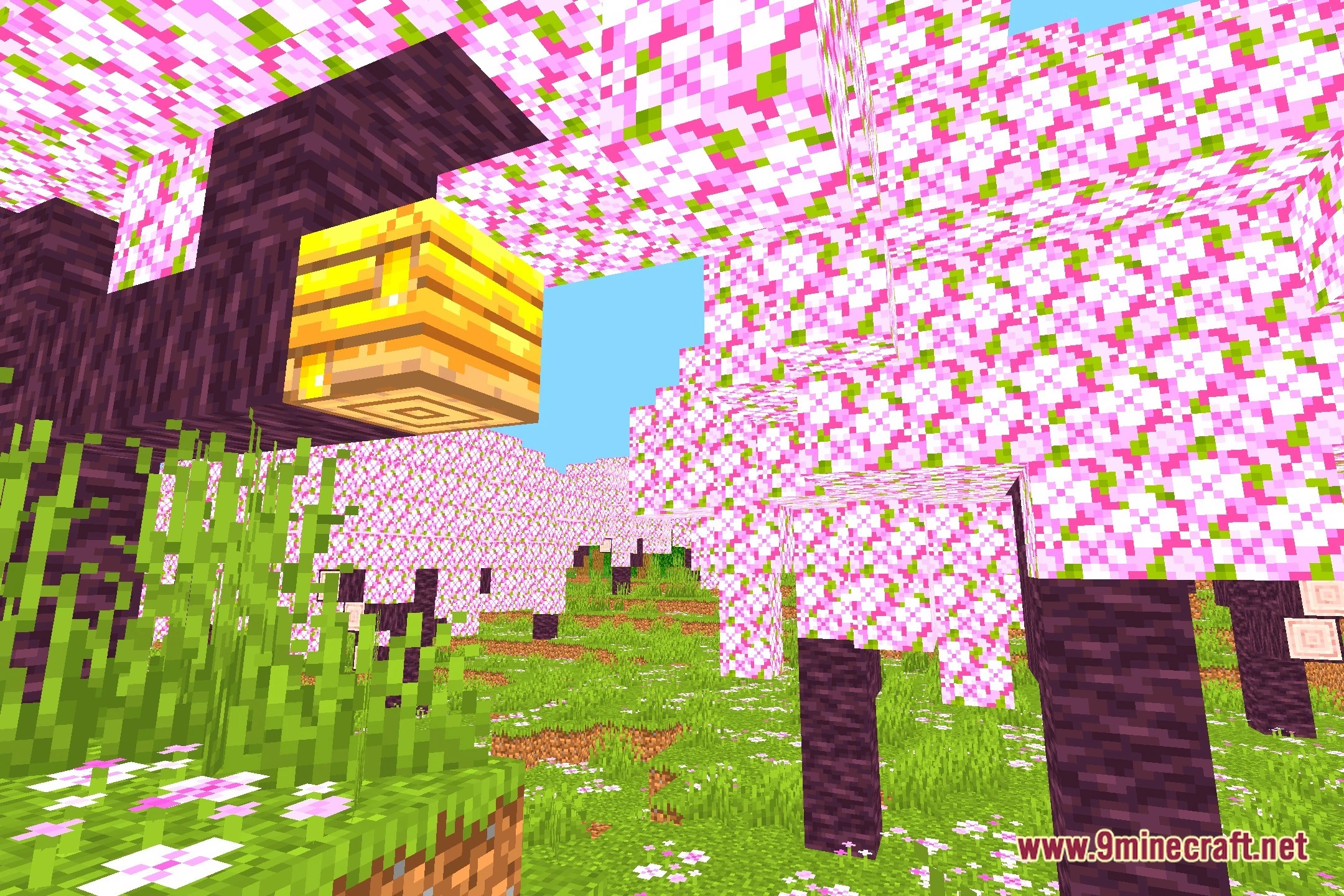 Colorful Life Shaders (26.2, 1.20.1) – Vivid Colored Lighting And Brightness 2 Colorful life shaders screenshot 1
