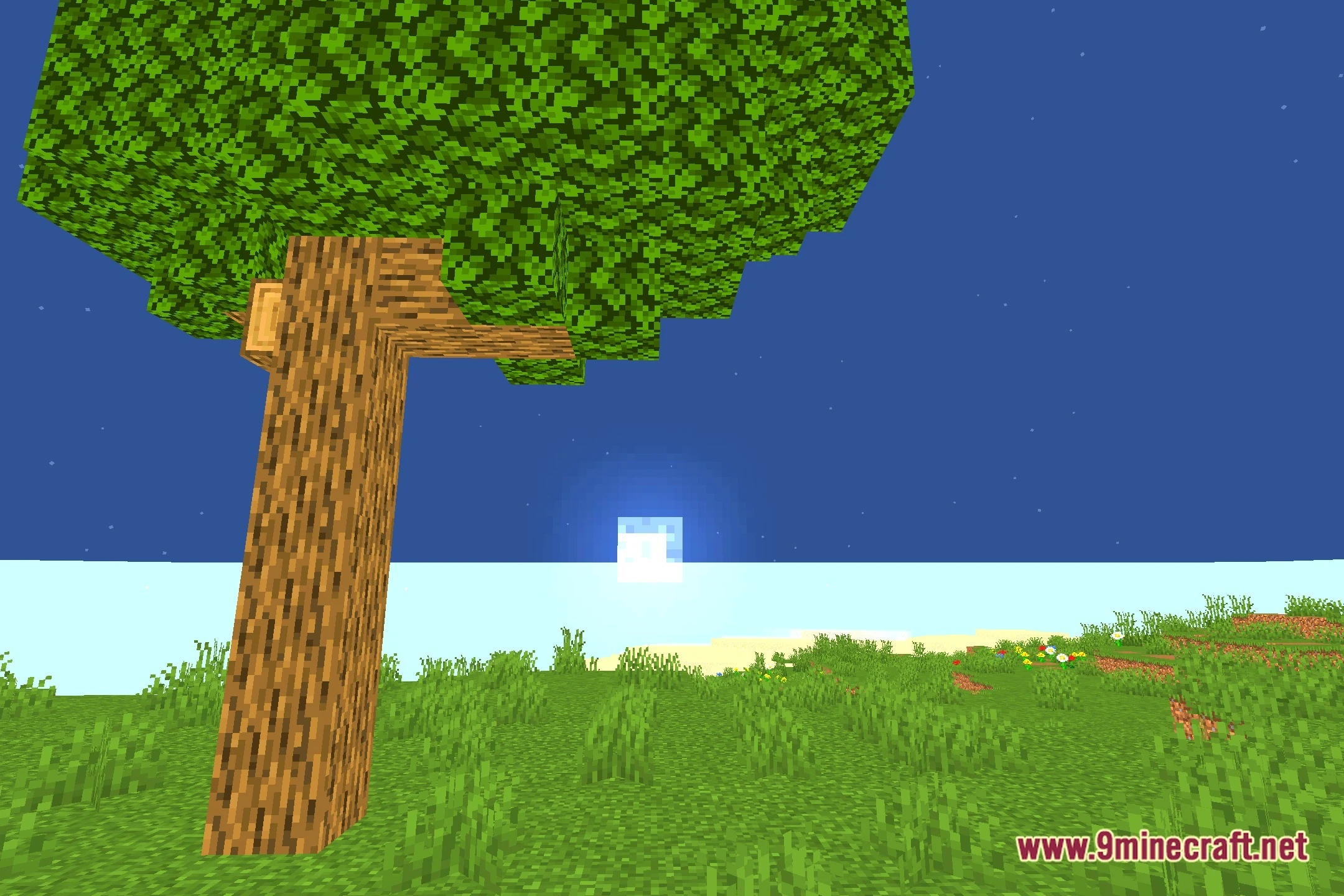 Colorful Life Shaders (26.2, 1.20.1) – Vivid Colored Lighting And Brightness 5 Colorful life shaders screenshot 4