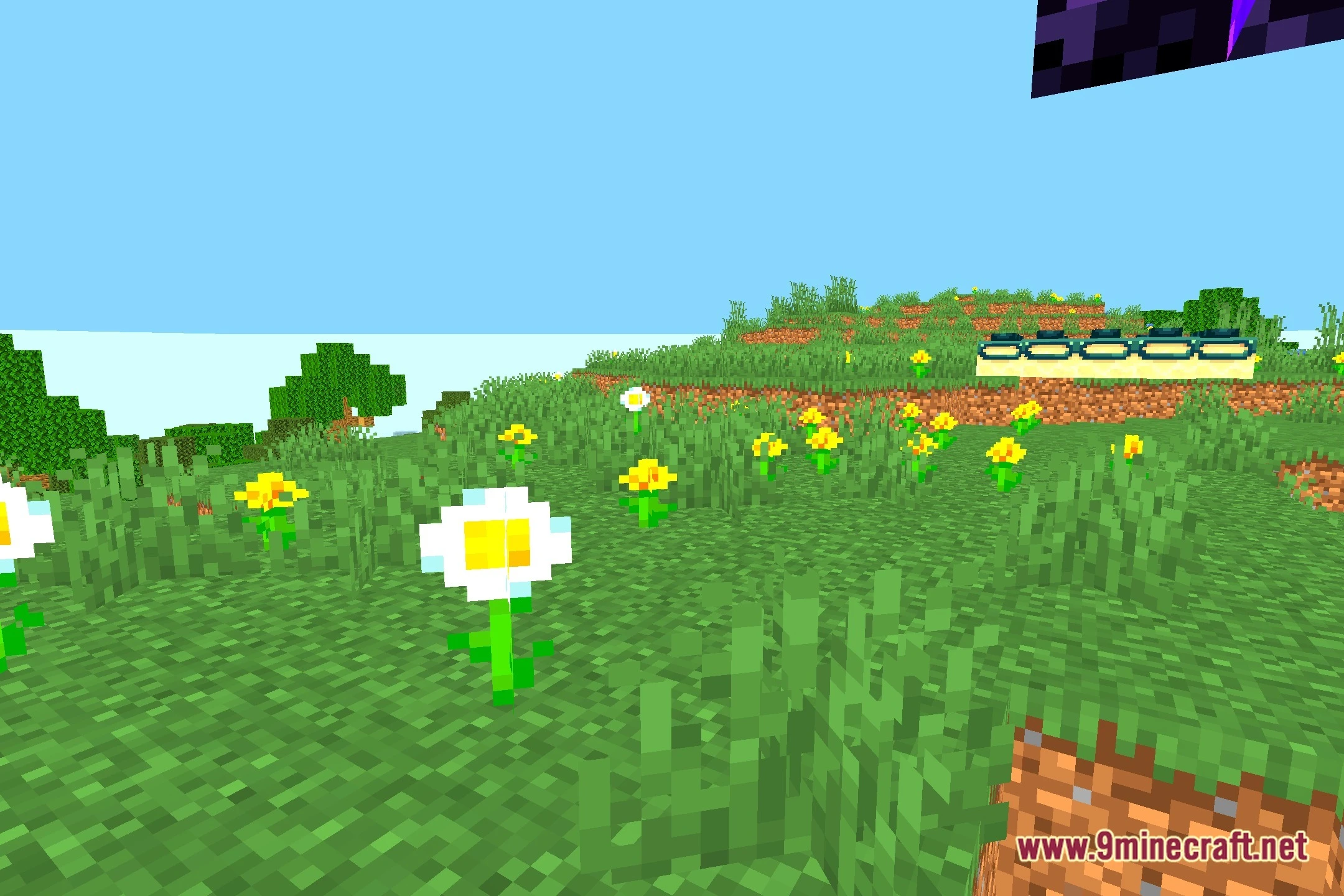 Colorful Life Shaders (26.2, 1.20.1) – Vivid Colored Lighting And Brightness 6 Colorful life shaders screenshot 5