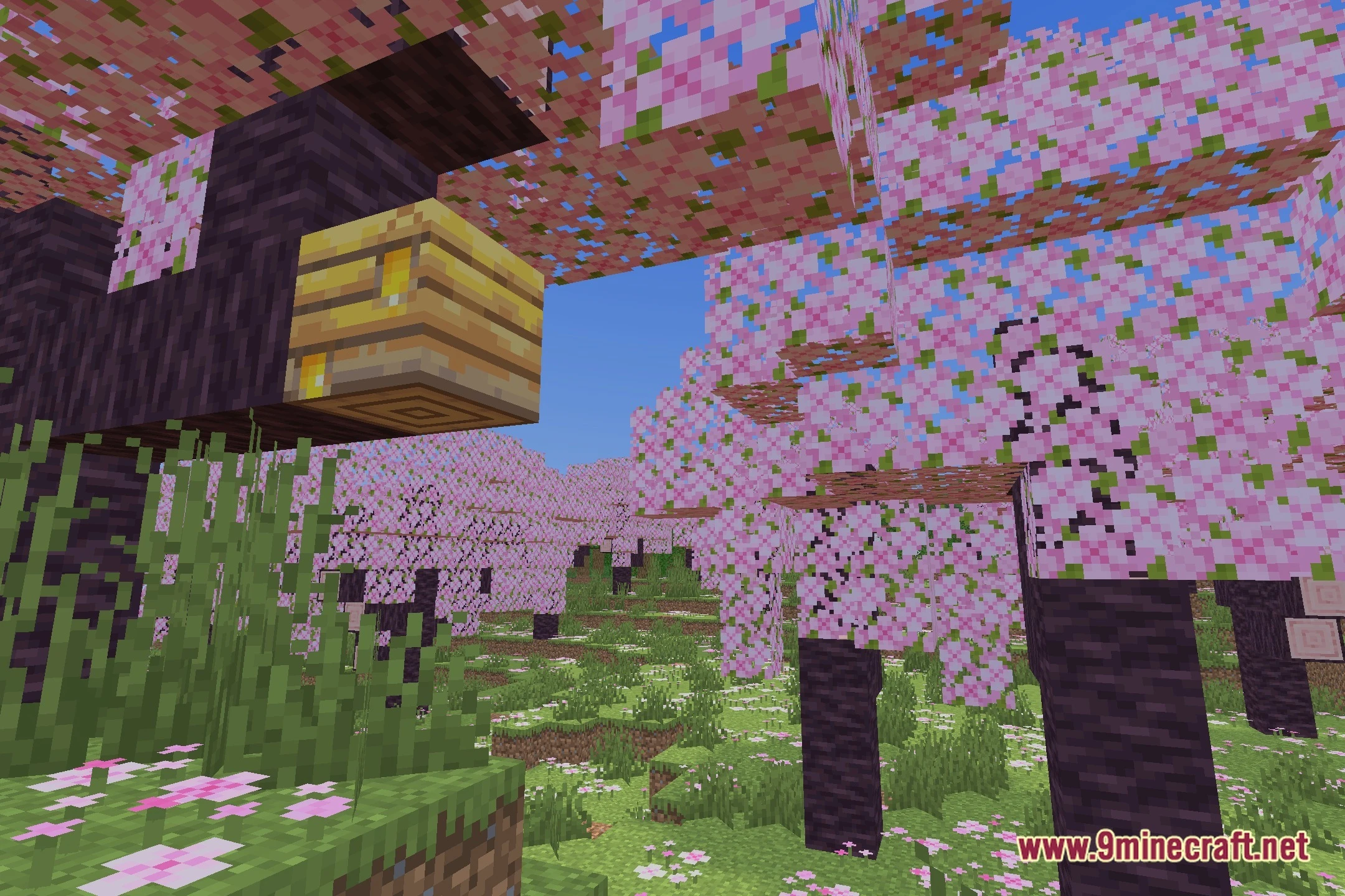 Elytrune Shaders (26.2, 1.20.1) – Soft Shadows And Clear Reflections 2 Elytrune shaders screenshot 1