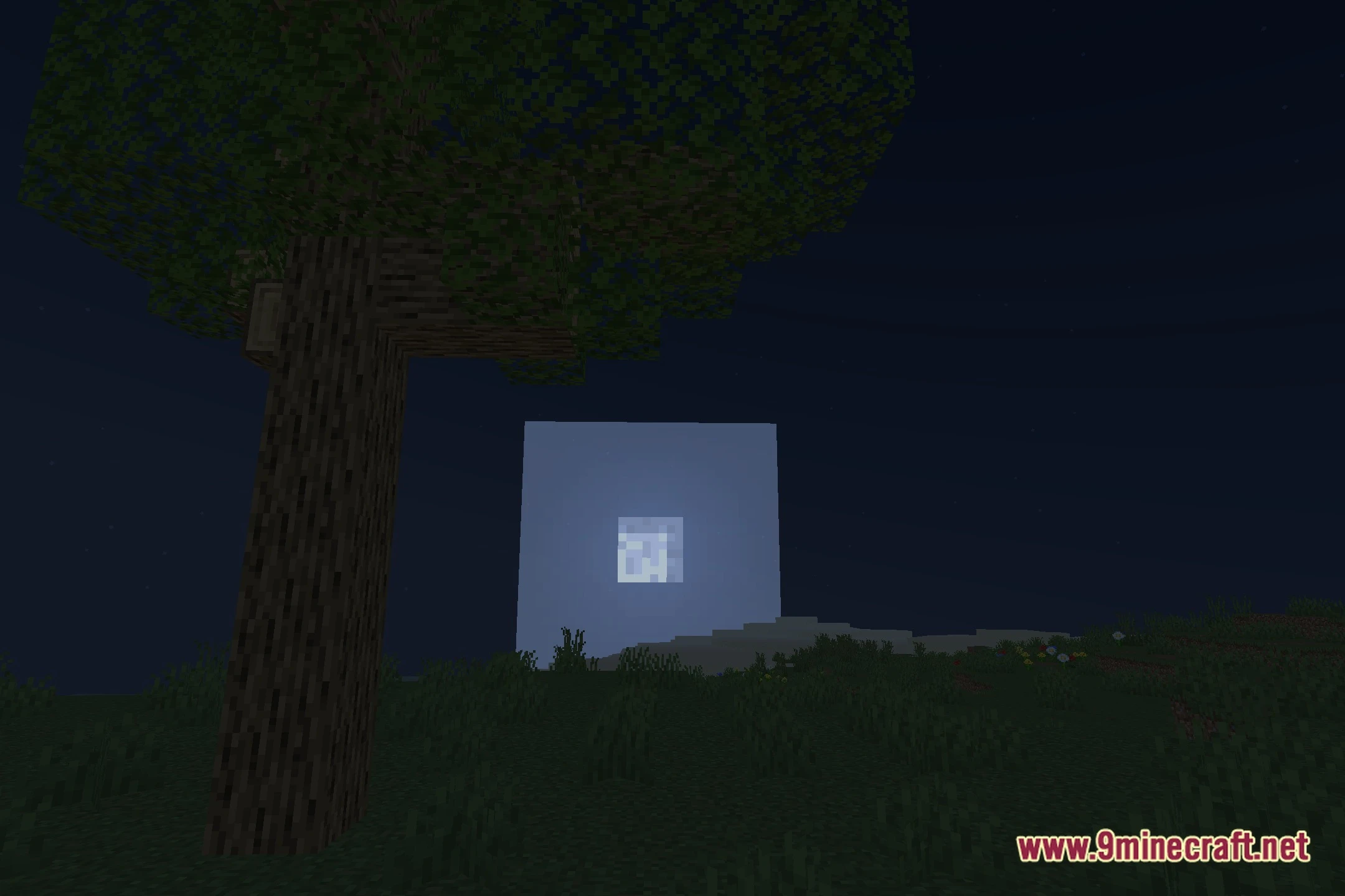 Elytrune Shaders (26.2, 1.20.1) – Soft Shadows And Clear Reflections 5 Elytrune shaders screenshot 4