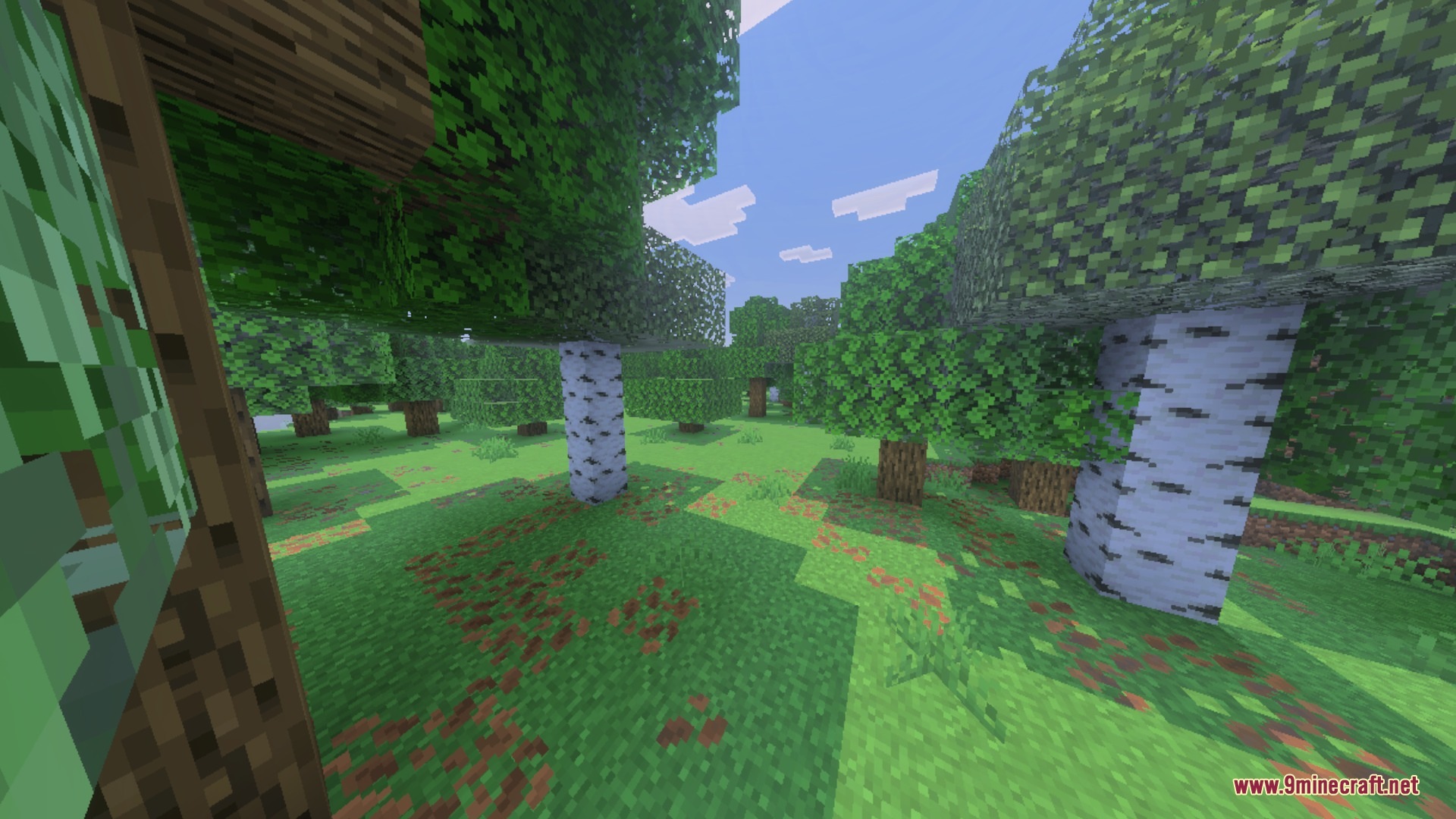 Enhanced Point Lights Color Remastered Shader (26.X, 1.21) 3 Enhanced point lights color remastered shader screenshot 1