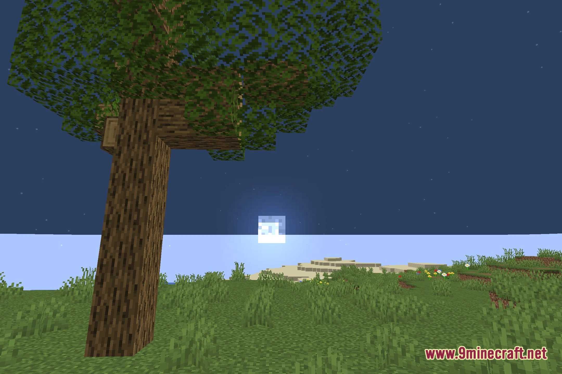 Fesglow Shaders (26.2, 1.20.1) – Cartoon Visuals And Colored Lighting 5 Fesglow shaders screenshot 4