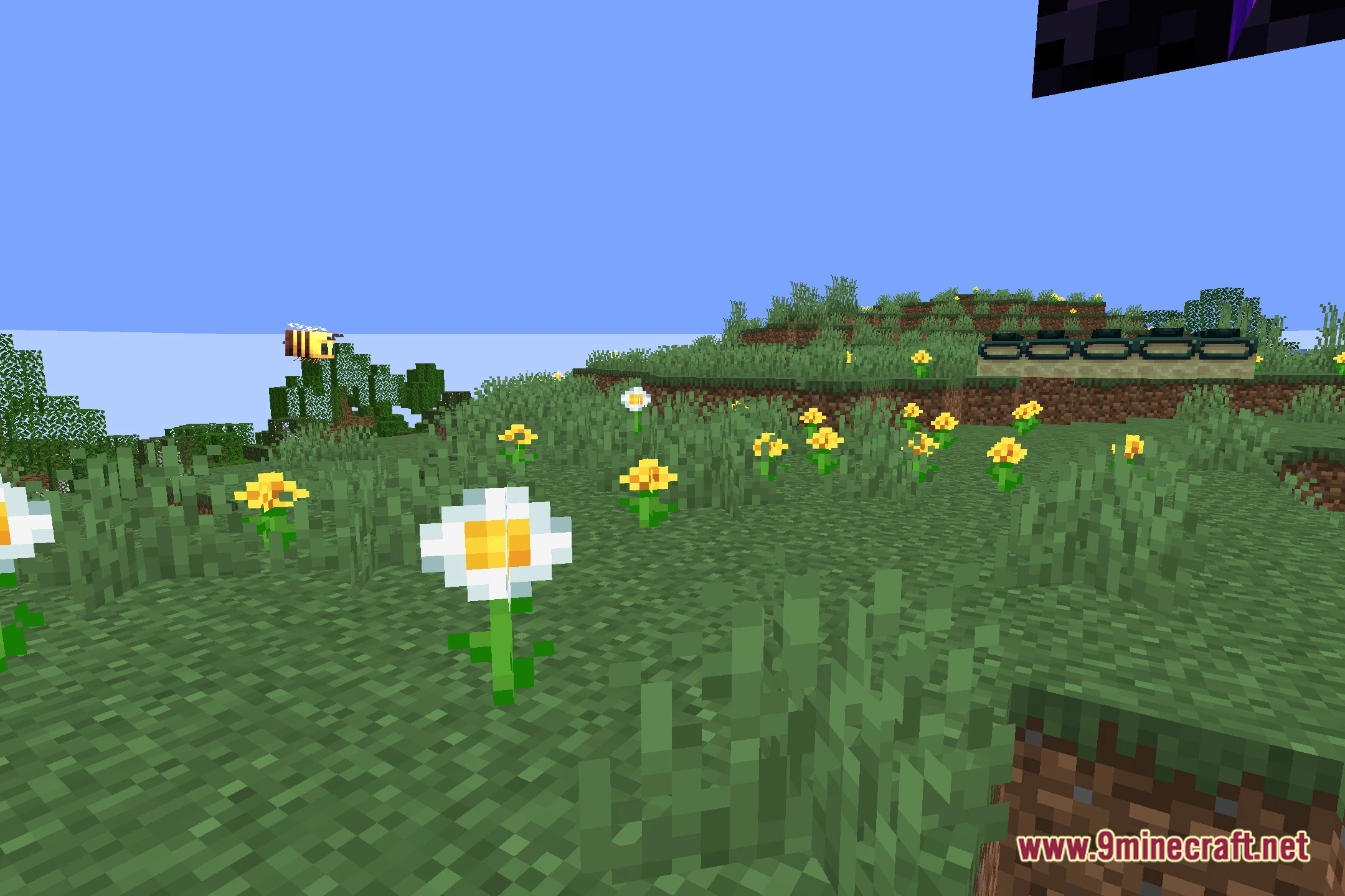 Fesglow Shaders (26.2, 1.20.1) – Cartoon Visuals And Colored Lighting 6 Fesglow shaders screenshot 5