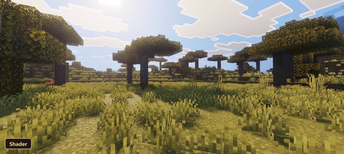 Sunny savanna biome, acacia trees, tall grass, sunny sky