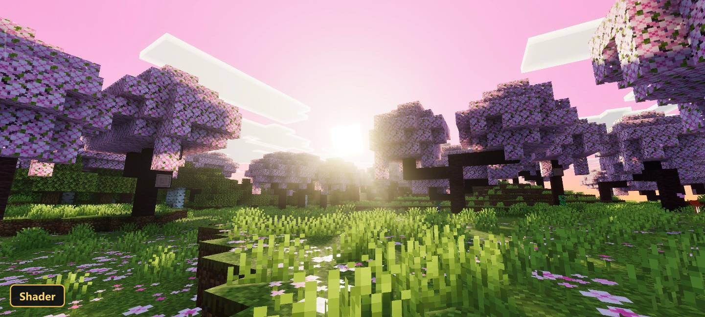 Sunrise over cherry blossom grove, pink sky, light bloom