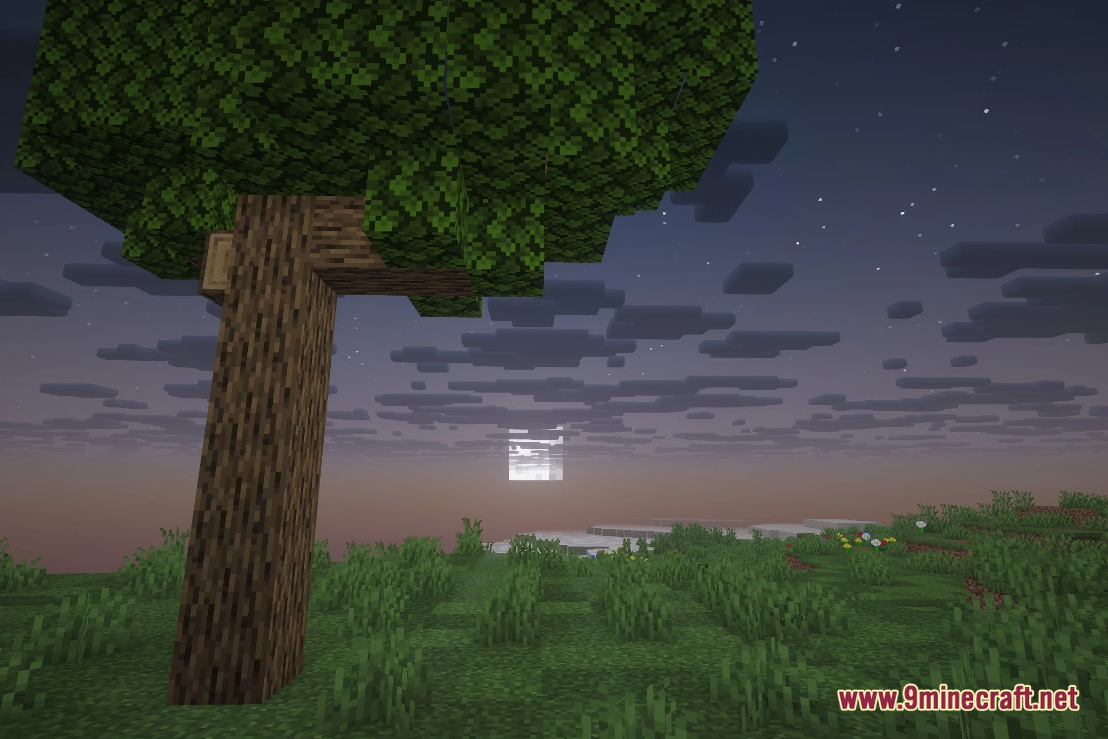 Lve Sunward Shaders (26.2, 1.20.1) – Crisp Pbr Materials And Reflections 5 Lve sunward shaders screenshot 4