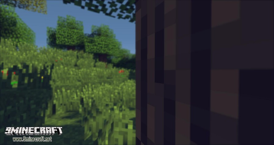 Mrmeep_X3’S Shaders (26.3, 1.20.1) – Incredible Looking Shaders 11 Mrmeep_x3s-shaders-mod-2. Jpg