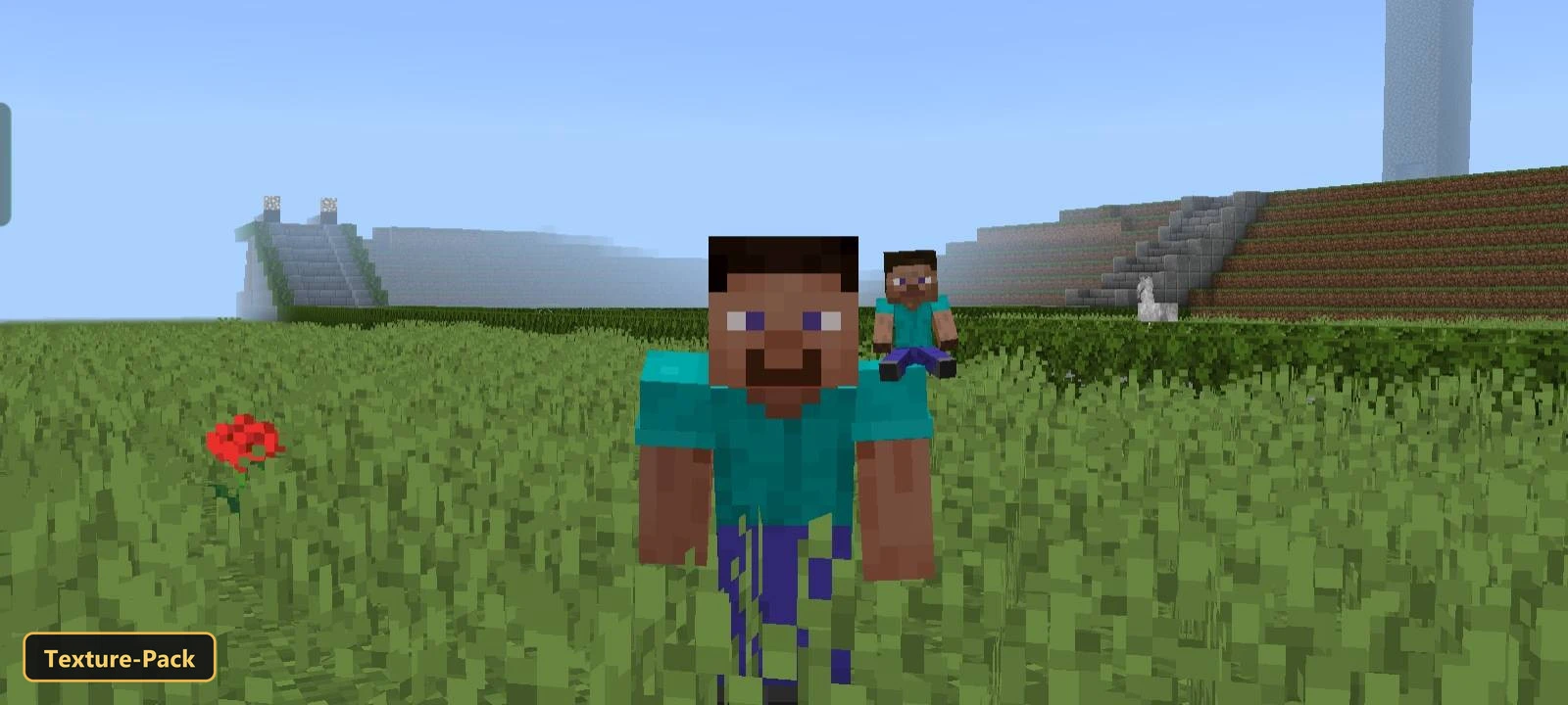 My Totem Doll (26+, 1.21) – Mcpe/Bedrock Texture Pack 4 Player character with a small steve on their shoulder in a grassy field