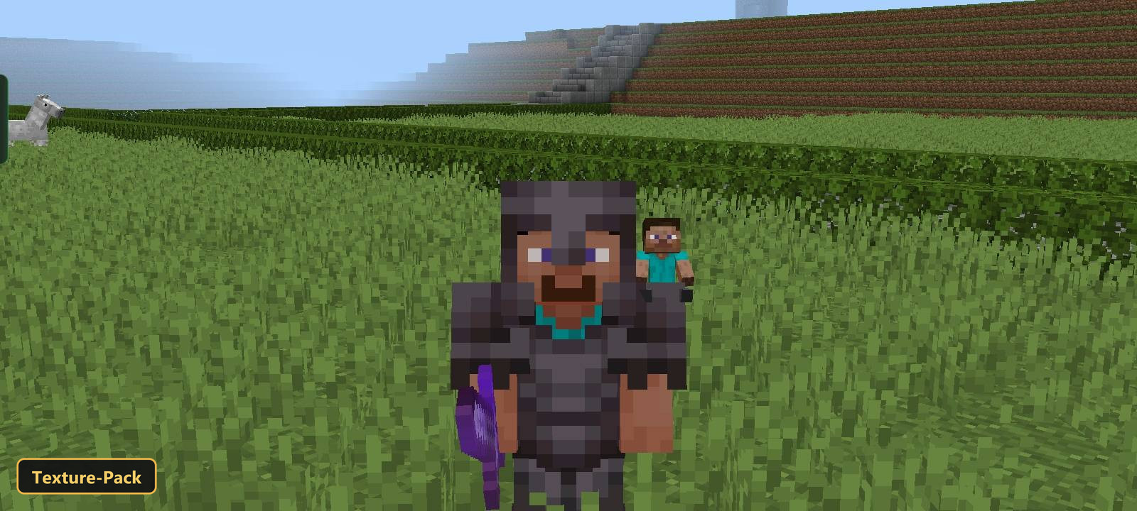 My Totem Doll (26+, 1.21) – Mcpe/Bedrock Texture Pack 5 Player character in netherite armor with a small steve on their shoulder