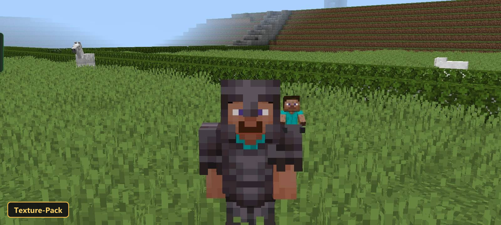 My Totem Doll (26+, 1.21) – Mcpe/Bedrock Texture Pack 6 Player character in netherite armor with a small steve on their shoulder