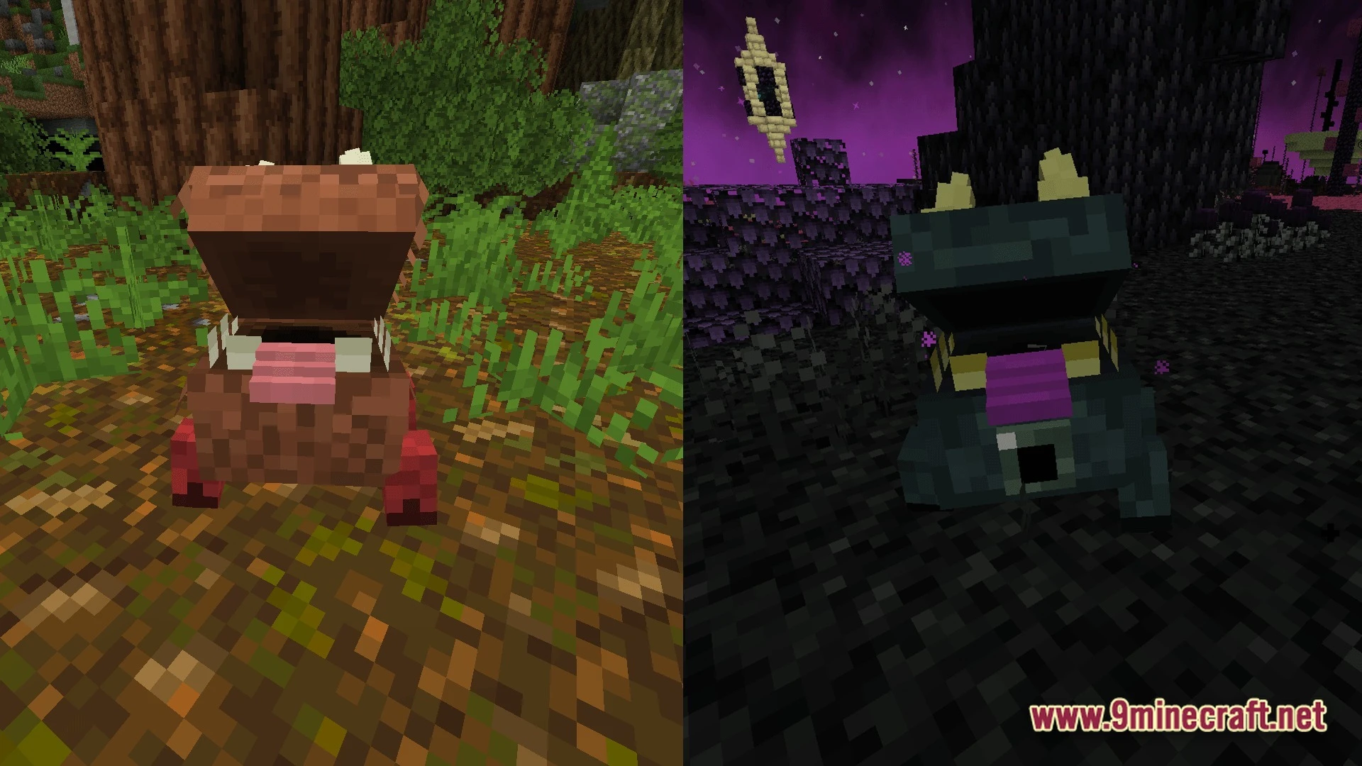Mystic Realm Awakened Modpack (1.20.1) – Magic Mystery And Hard Survival 4 Two different colored variants of a small, wide-mouthed creature standing in forest and void biomes
