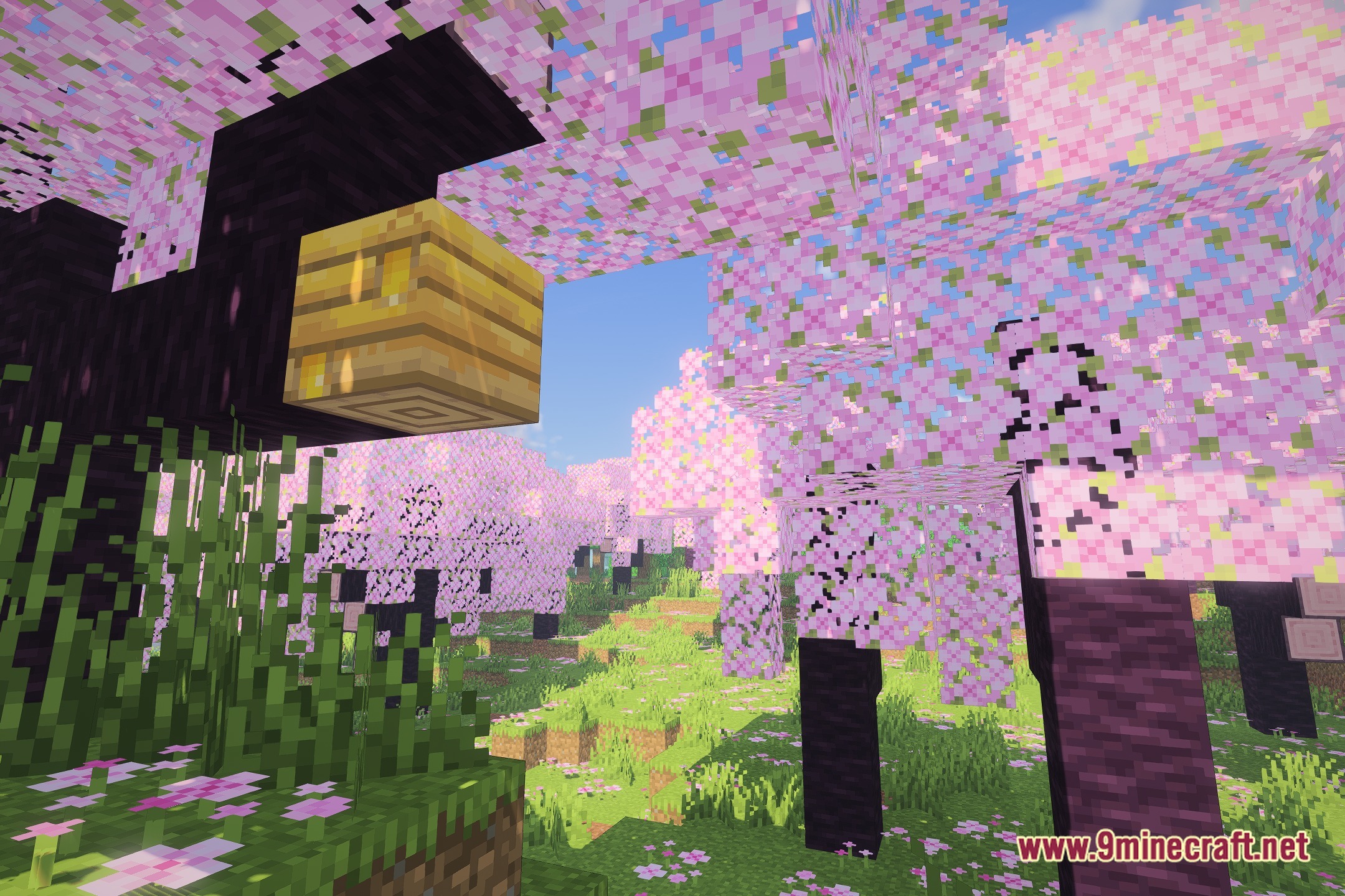 Natsuzora Shaders (26.2, 1.20.1) – Lightweight Glsl Lighting For Iris 2 Natsuzora shaders screenshot 1