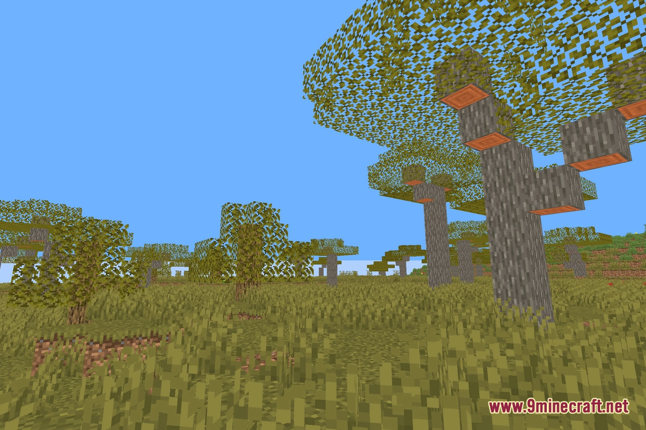 Pain shaders screenshot 12
