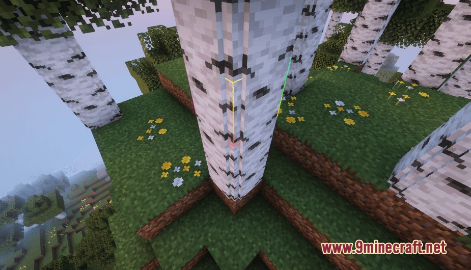 Poly Smooth Vanilla Resource Pack (26.1.2) – Clean 3D Models For Classic Worlds 8 Poly smooth vanilla adds detailed 3d bark textures to birch tree trunks