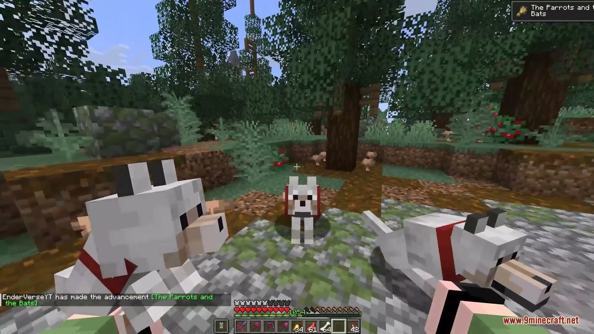 Punchy X Tiny Takeover Mod (26.2, 1.20.1) – Carry Baby Animals And Play Fetch 2 Punchy x tiny takeover mod screenshot 1