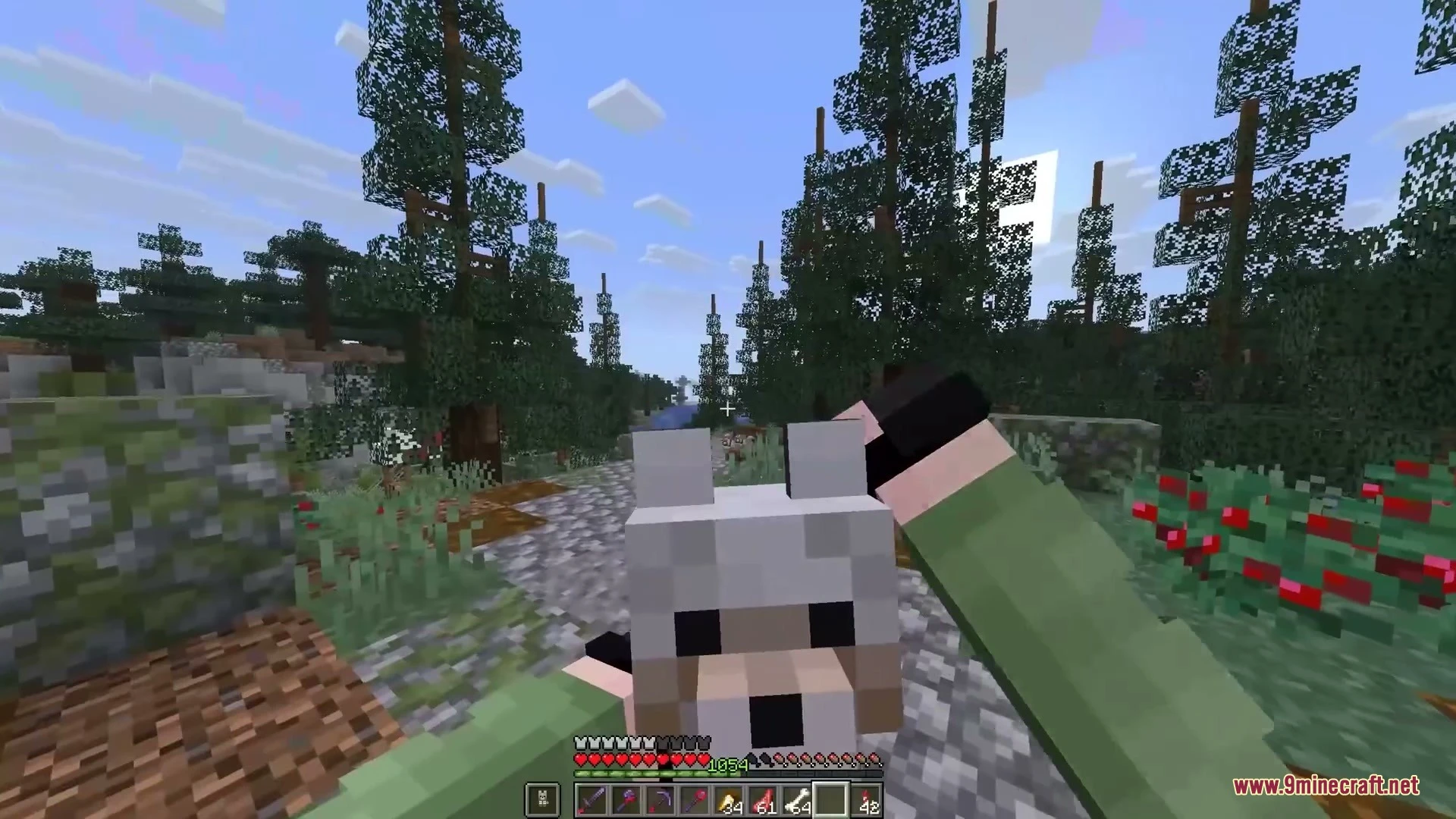 Punchy X Tiny Takeover Mod (26.2, 1.20.1) – Carry Baby Animals And Play Fetch 6 Punchy x tiny takeover mod screenshot 5