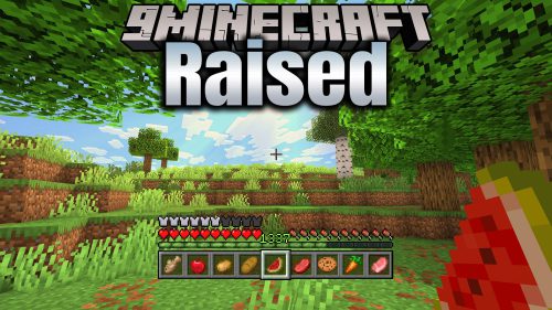 Natural Texture Pack Resource Pack (26.3, 1.21.1) – Classic Console Look 11 Raised mod 500x281 1