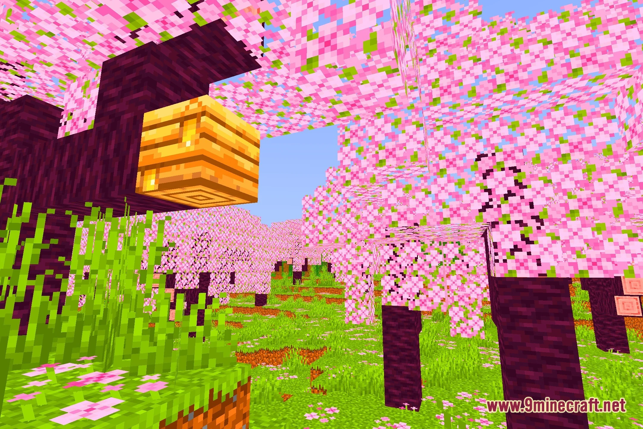 Sel Shaders (26.2, 1.20.1) – Soft Fantasy Lighting For Low-End Pcs 2 Sel shaders screenshot 1