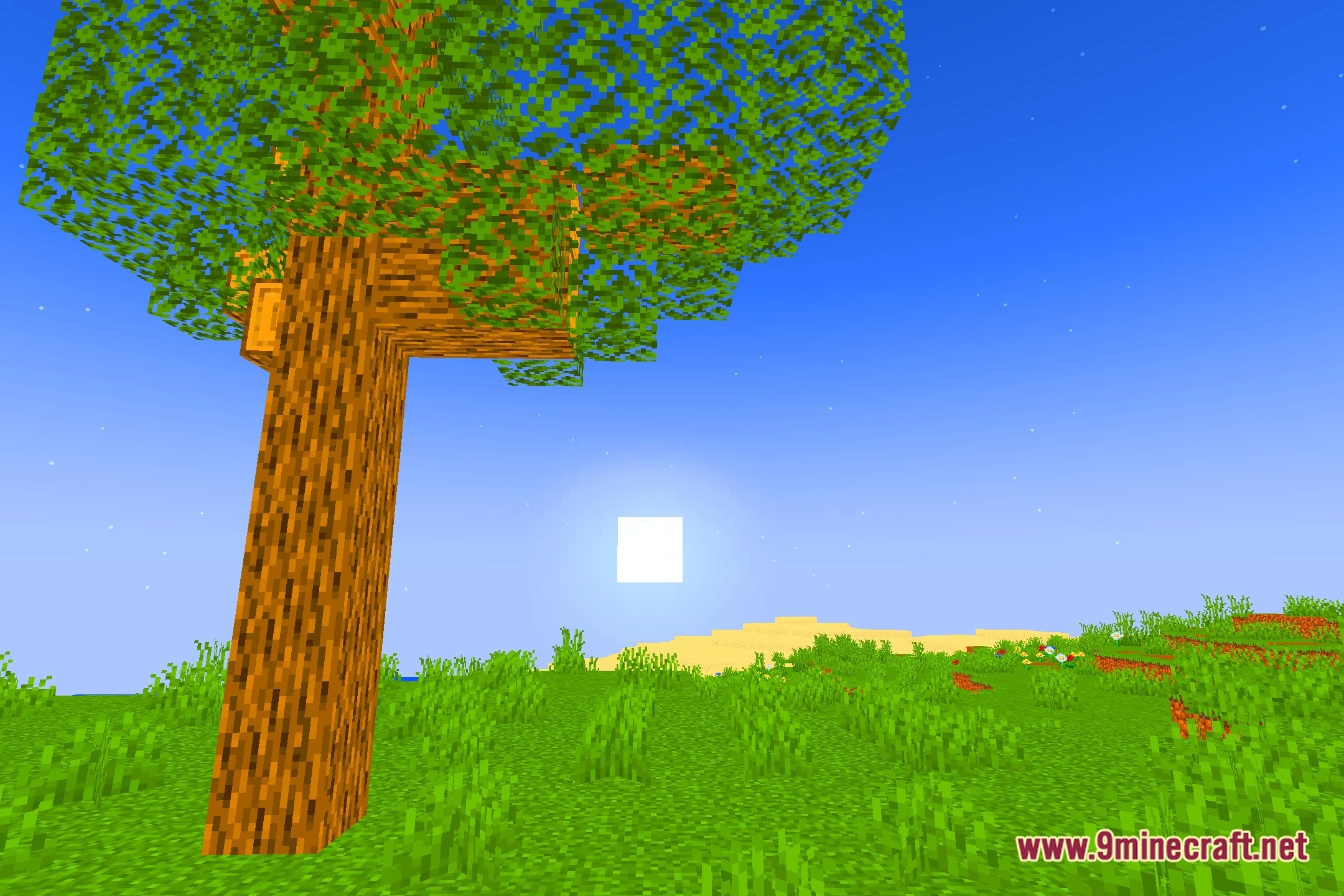 Sel Shaders (26.2, 1.20.1) – Soft Fantasy Lighting For Low-End Pcs 5 Sel shaders screenshot 4