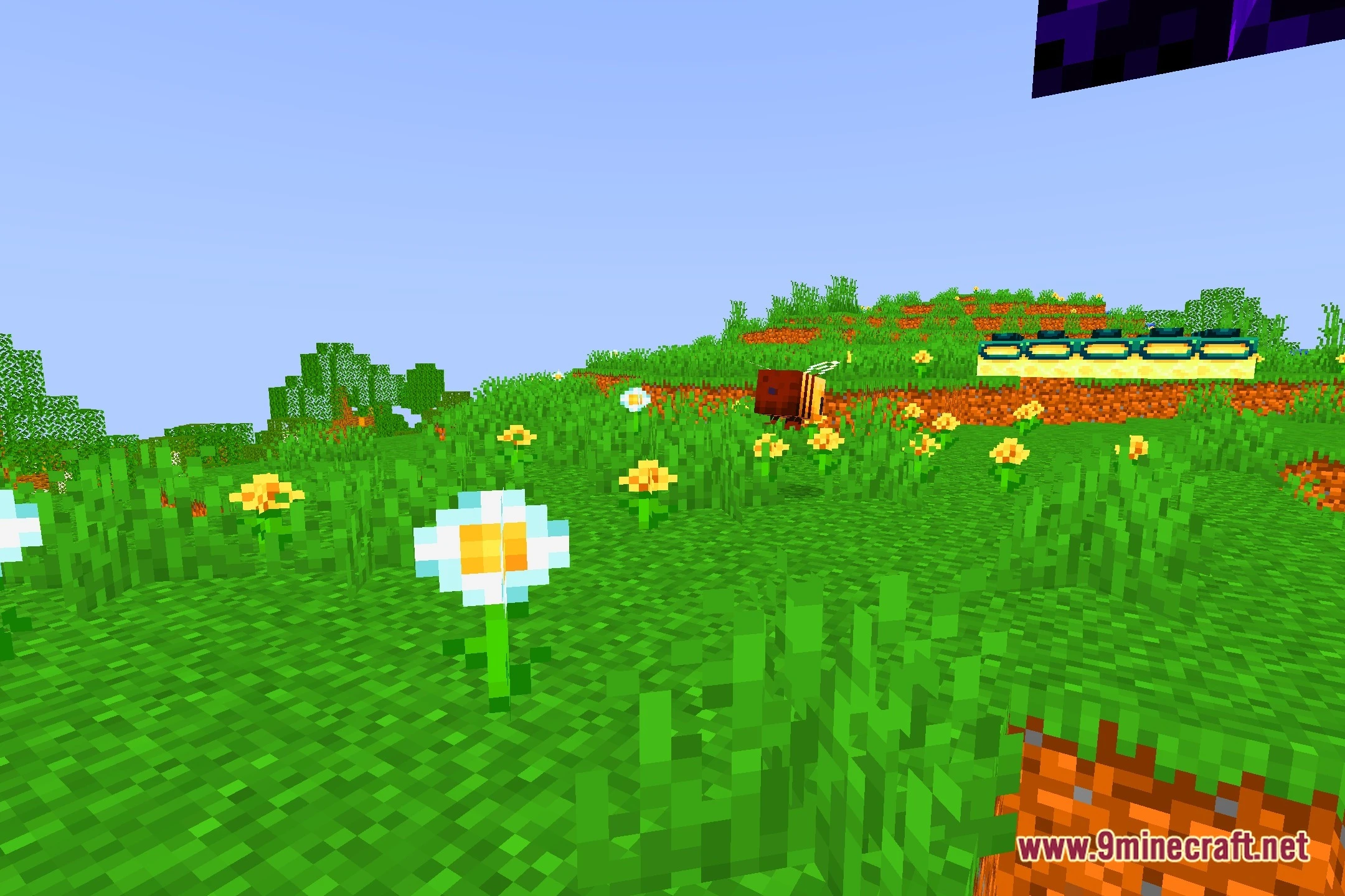 Sel Shaders (26.2, 1.20.1) – Soft Fantasy Lighting For Low-End Pcs 6 Sel shaders screenshot 5