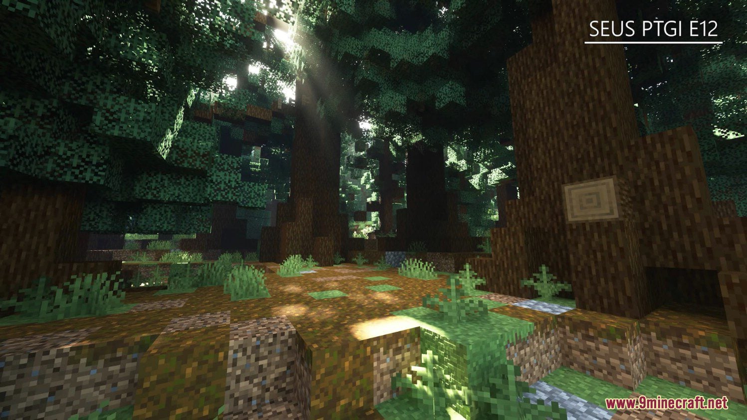 Seus Ptgi Shaders (26.3, 1.20.1) – Path Tracing, Ray Traced Shaders 8 Seus ptgi shaders pack screenshots 7