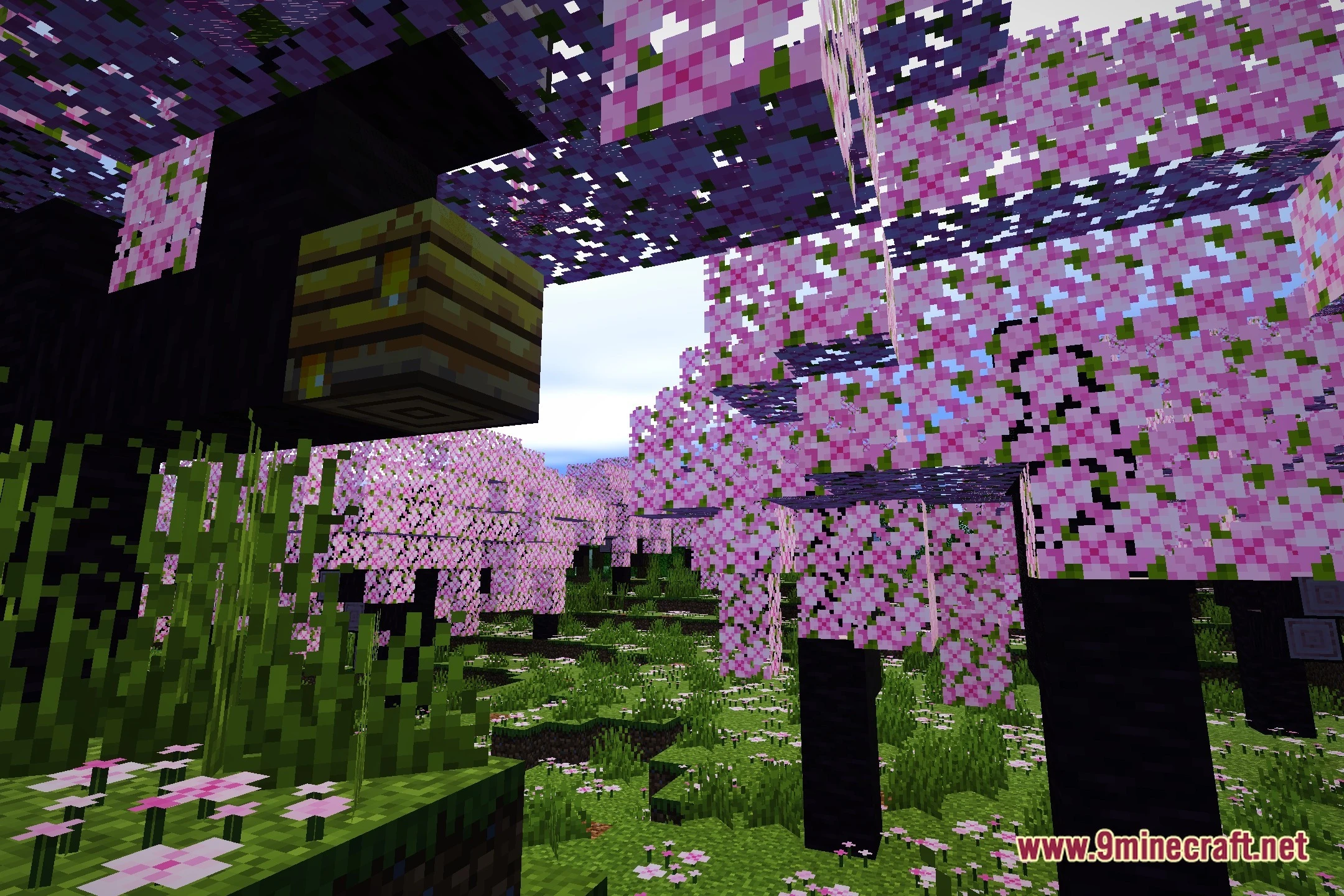 Sunlitshaders (26.2, 1.20.1) – Soft Shadows And Realistic Water Reflections 2 Sunlitshaders screenshot 1
