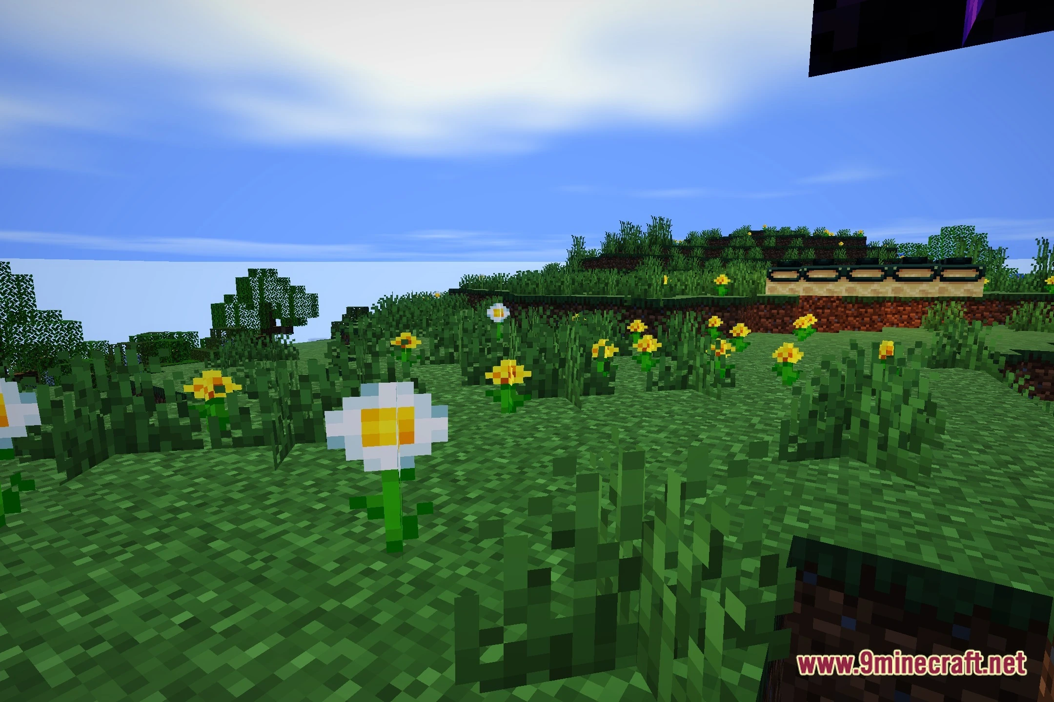 Sunlitshaders (26.2, 1.20.1) – Soft Shadows And Realistic Water Reflections 6 Sunlitshaders screenshot 5