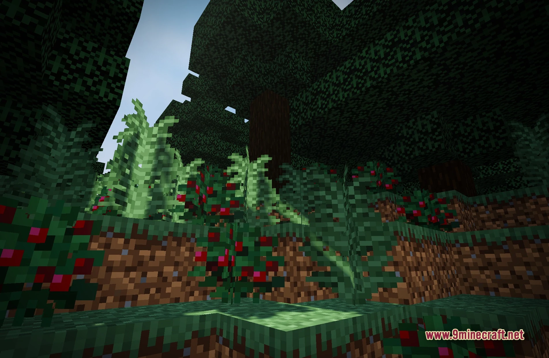 Author87668’S Light Shaders (26.3, 1.20.1) – High Fps Painted Graphics 4 Author87668's light shaders screenshot 3