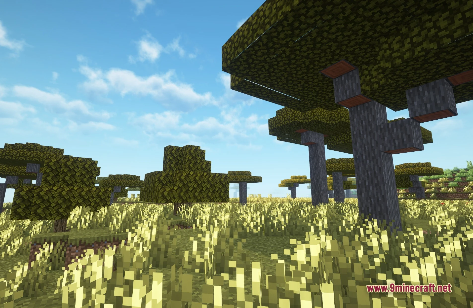 Recastional shaders screenshot 3