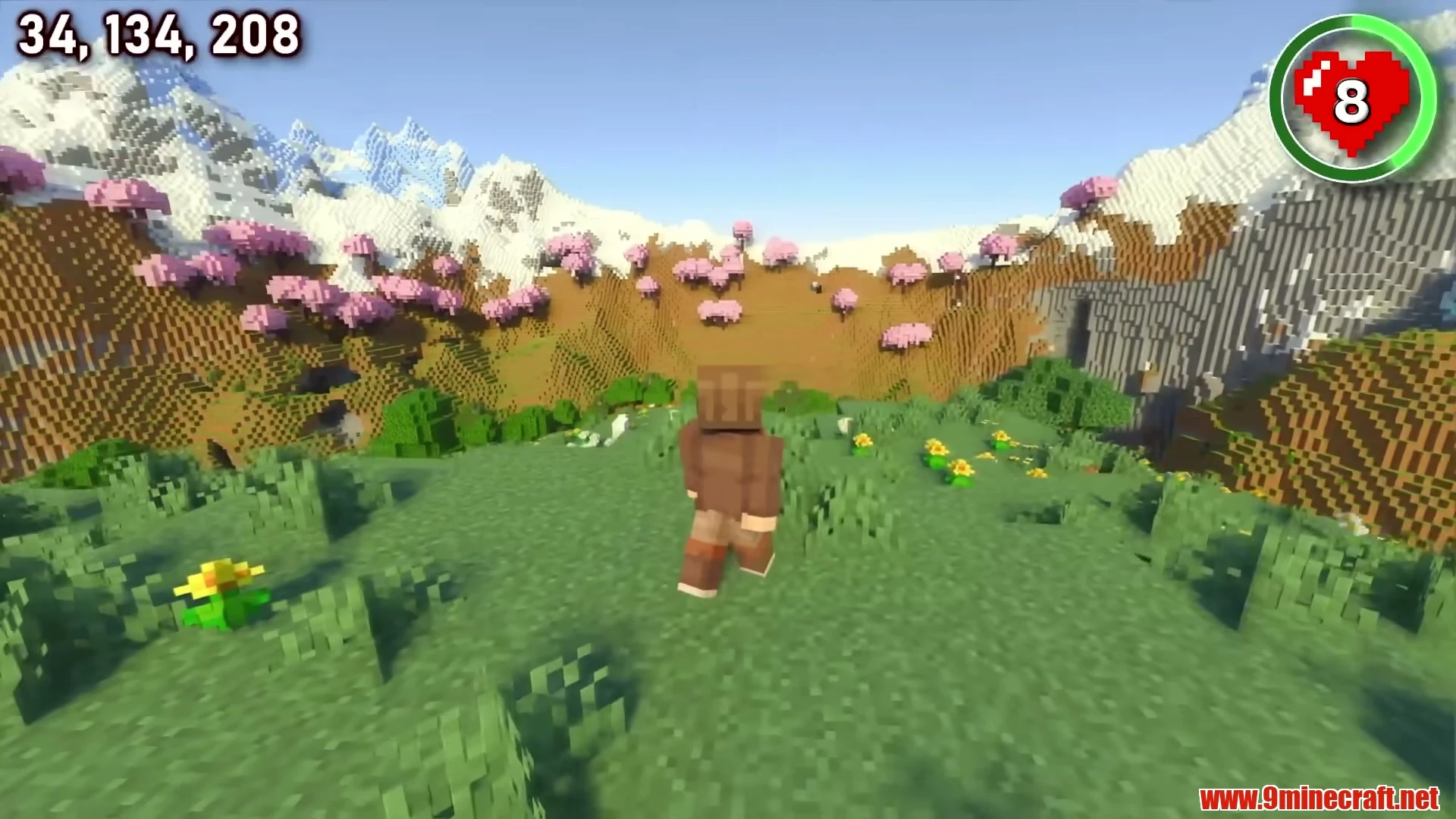 Cherry blossom ringed meadow hill sanctuary - minecraft 26. 3 seed 8700210007953256913 view 2
